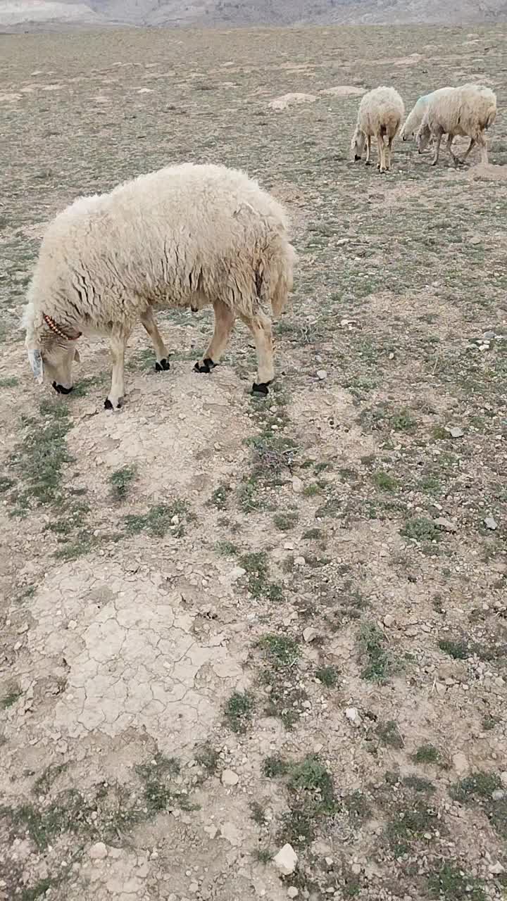 @Ismail Çapar42