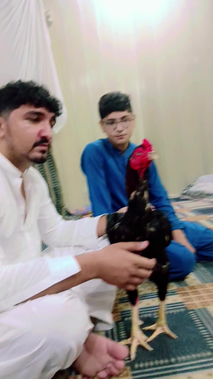 @عمران _خان_ وتہ خیل