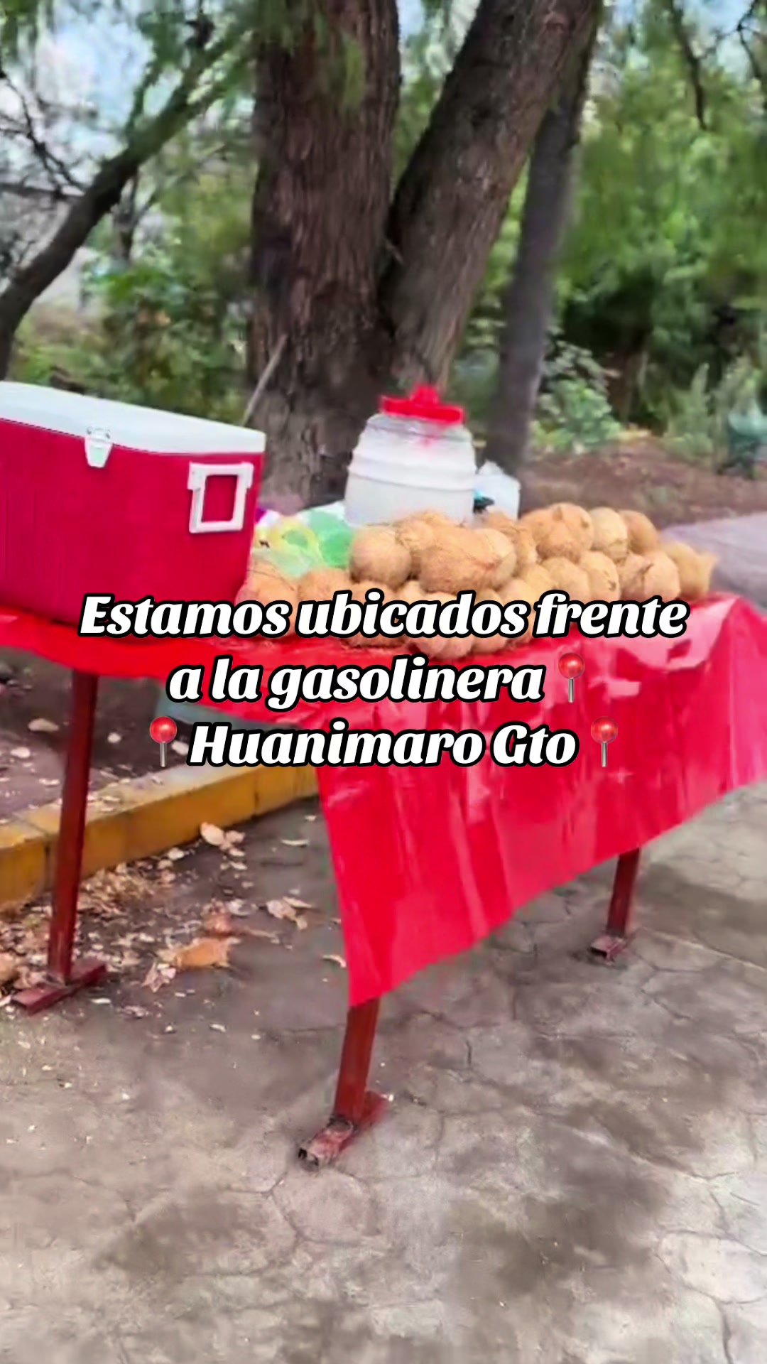 @❤️🇲🇽꧁𝐿𝓊𝒸𝓎꧂🇲🇽❤️