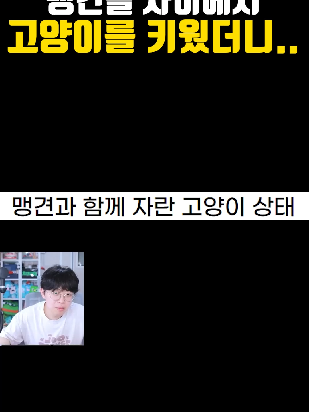 @주둥이방송
