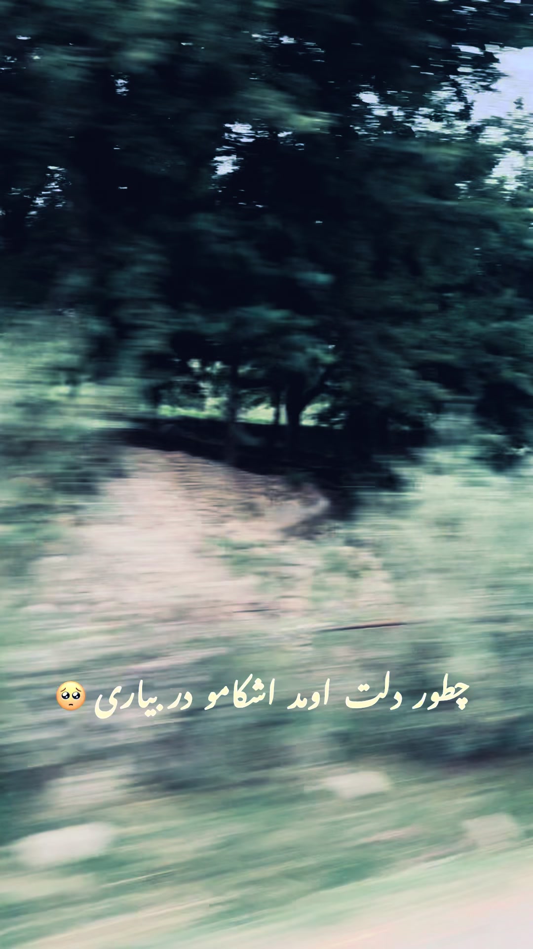 @Negin🌸