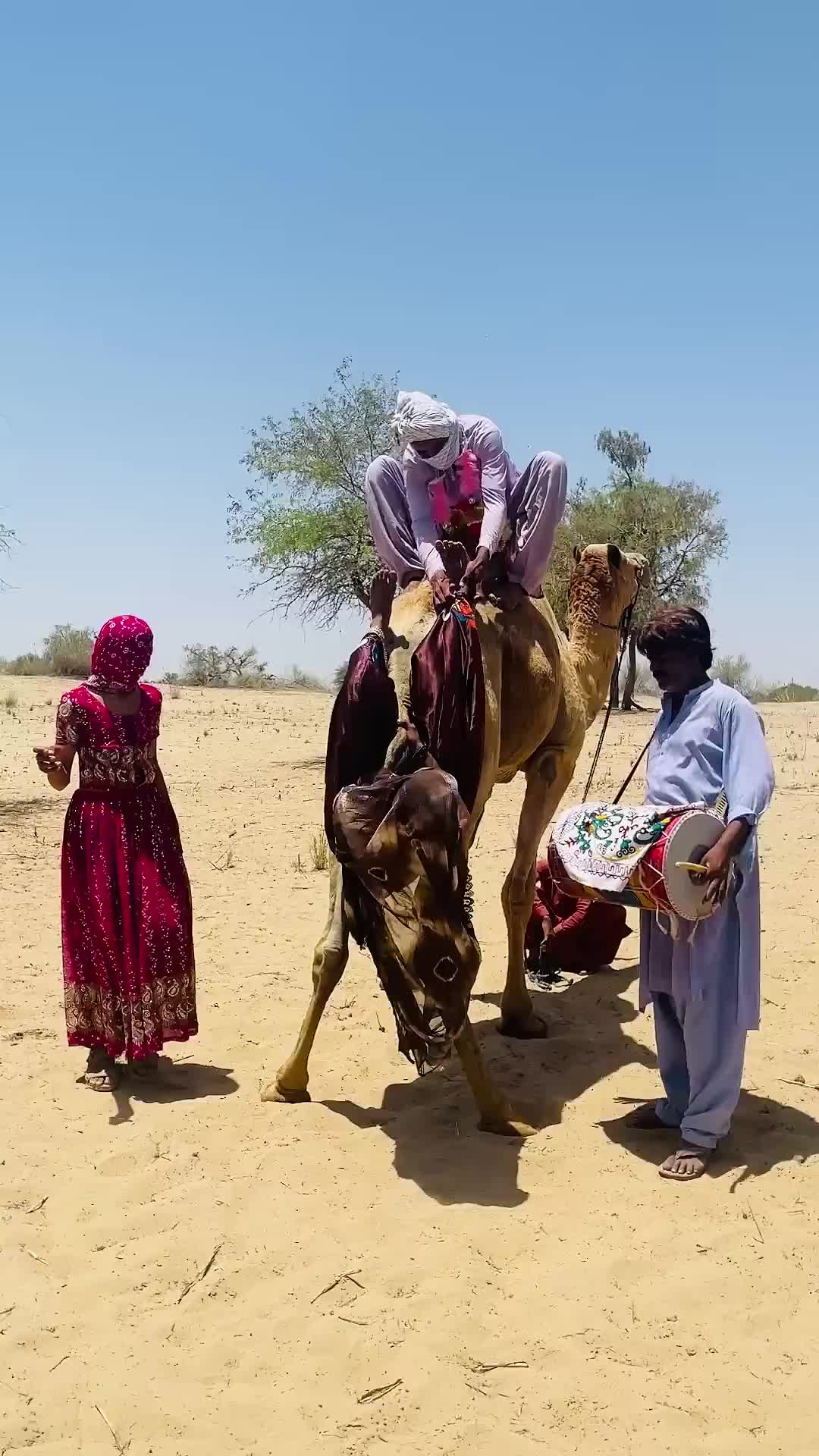 @Sakina 🐪