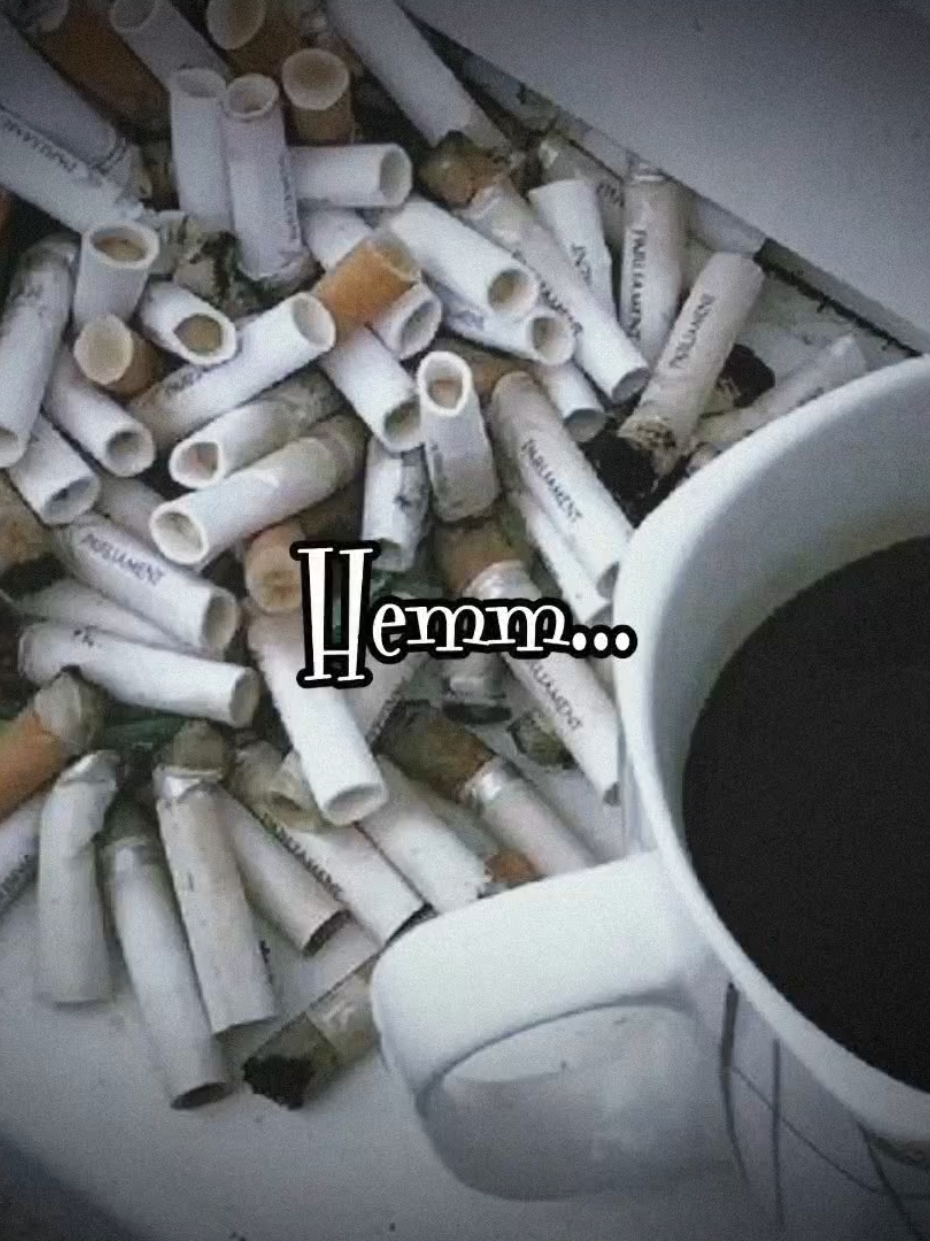@@мфета_М#новая51