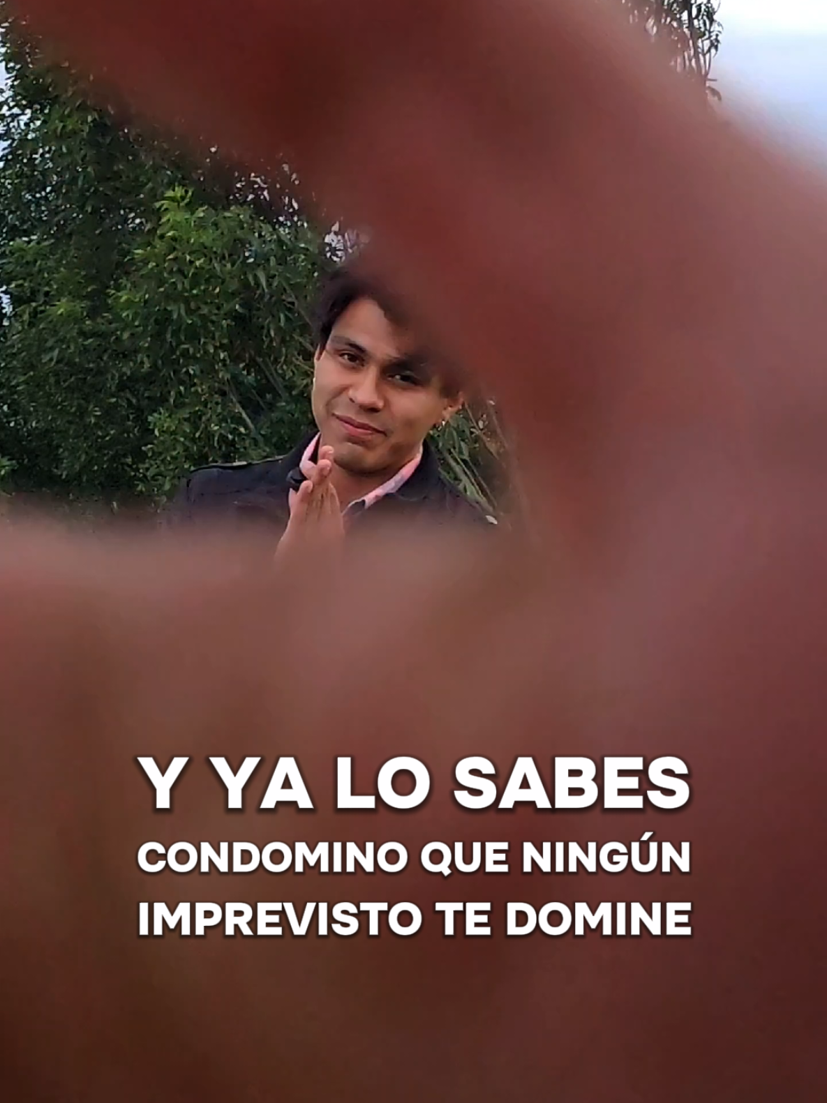 @Domino Asesores