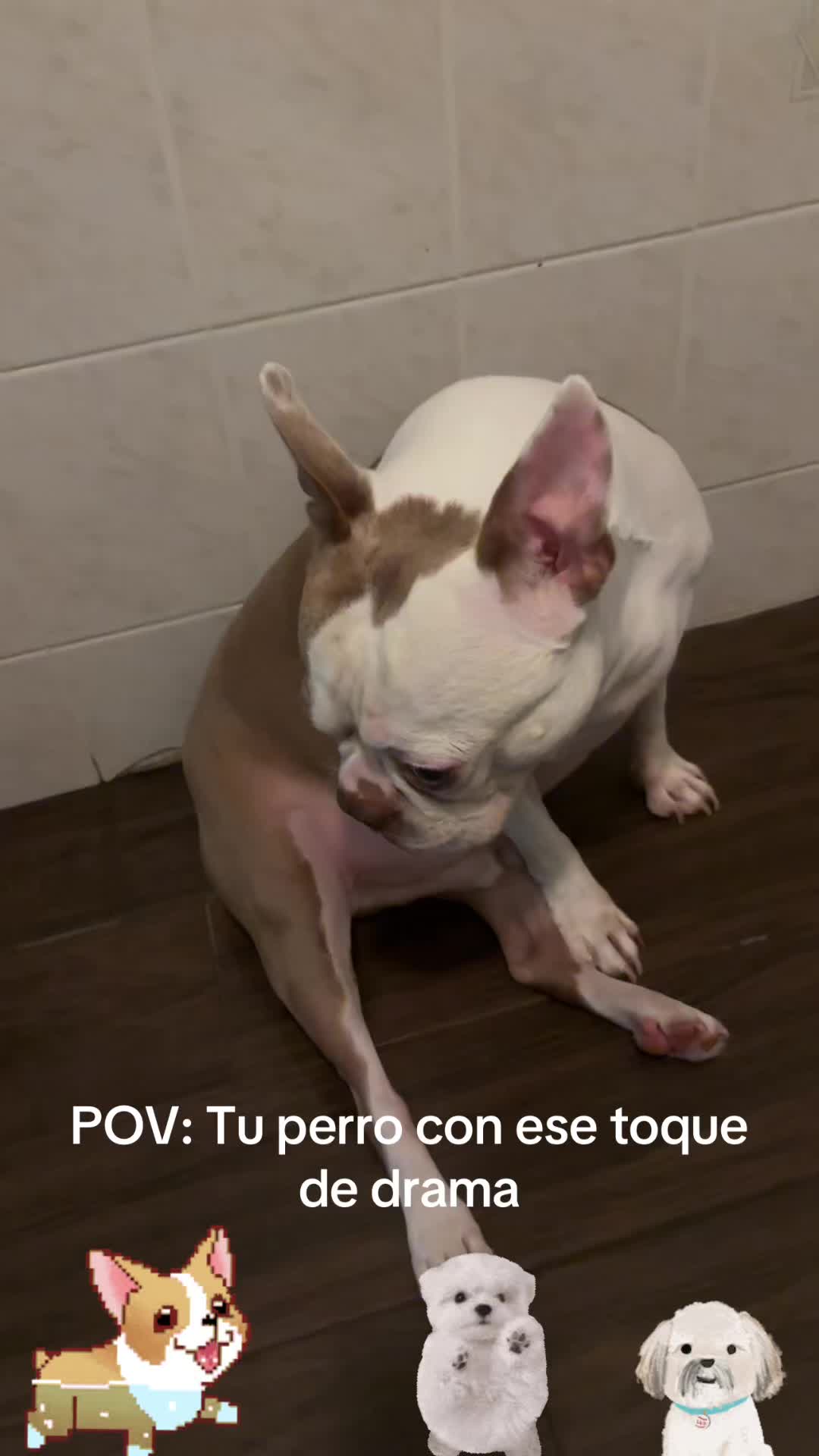 @los3huevertos