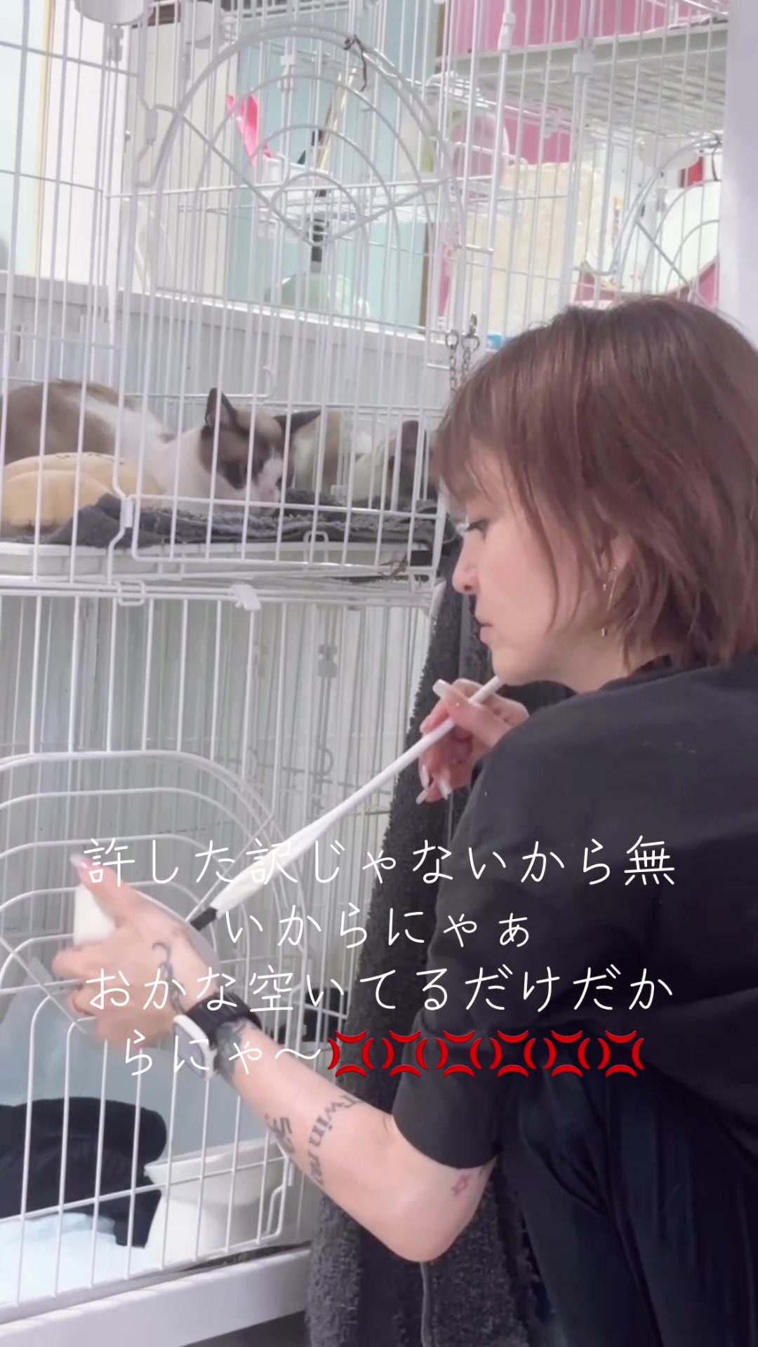 @そぉーちゃん🍷🐈soochan