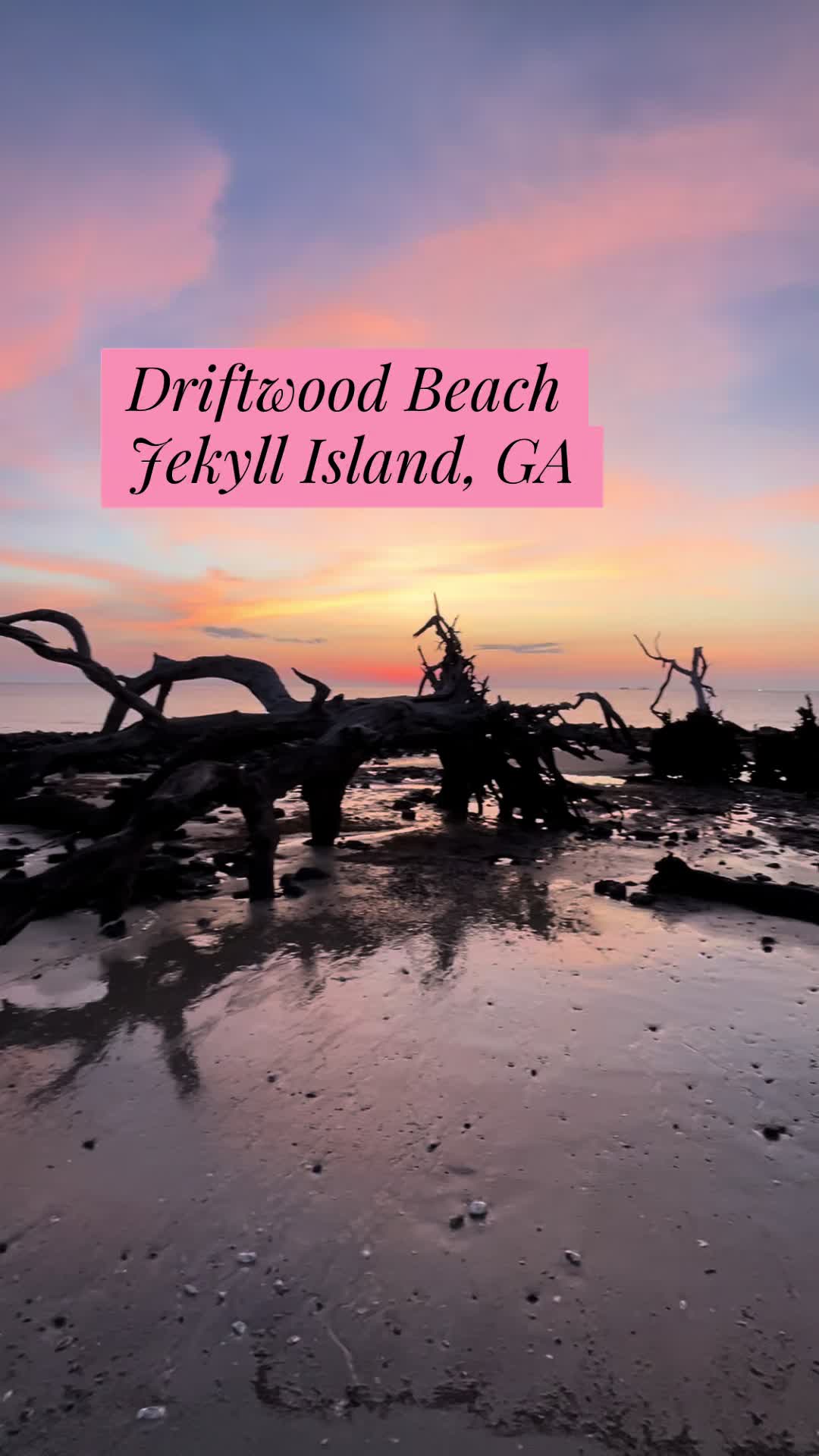 @Jekyll Island Nature Girl