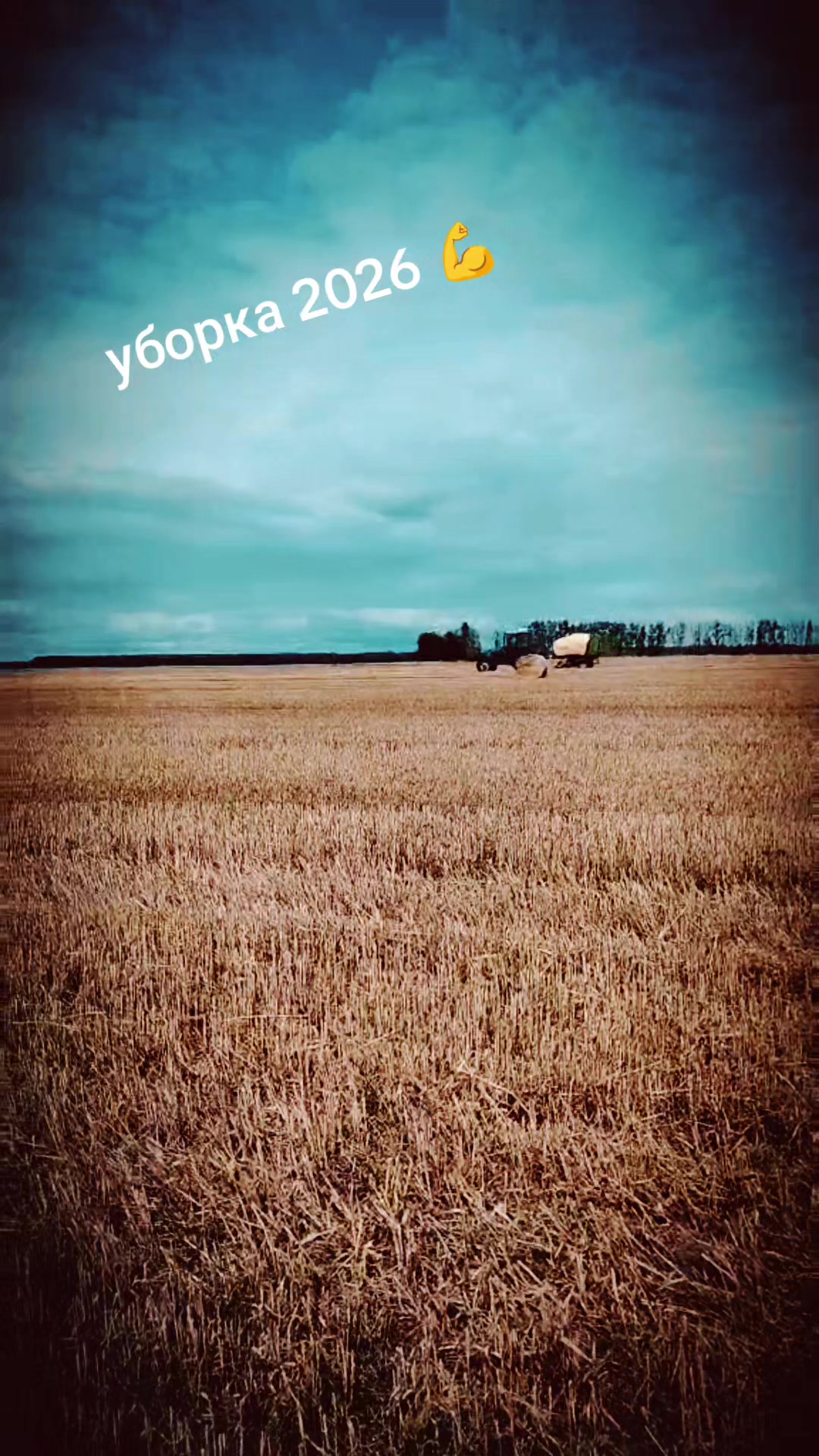 @Николай Куличик
