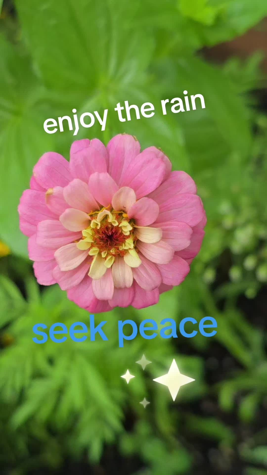 @dianne7th