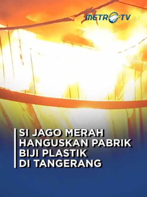 @Metro TV