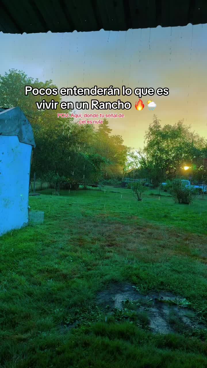 @ElChamakon720
