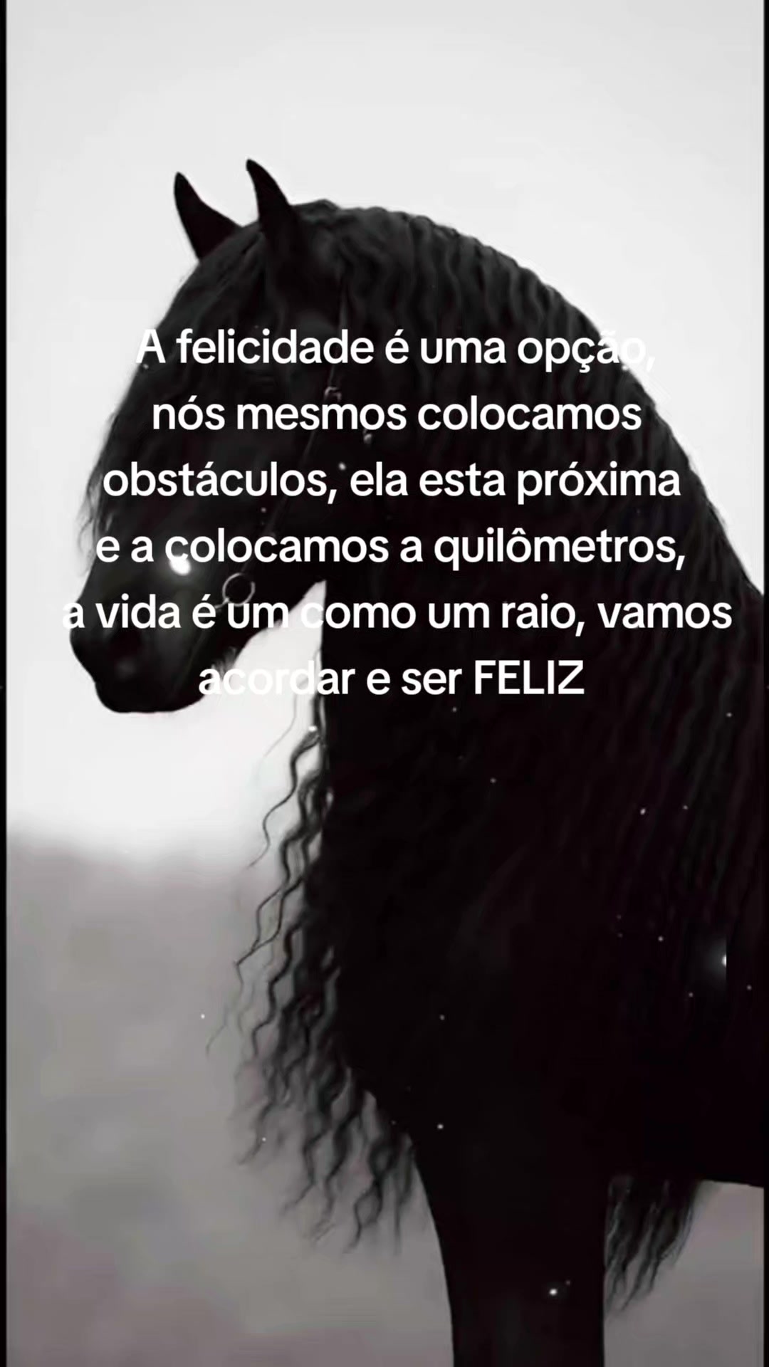 @Luiz