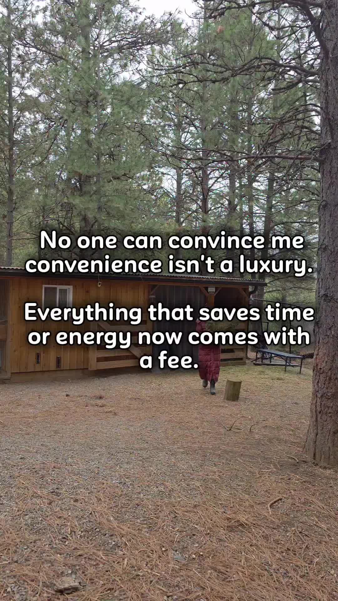 @thebudgetmom