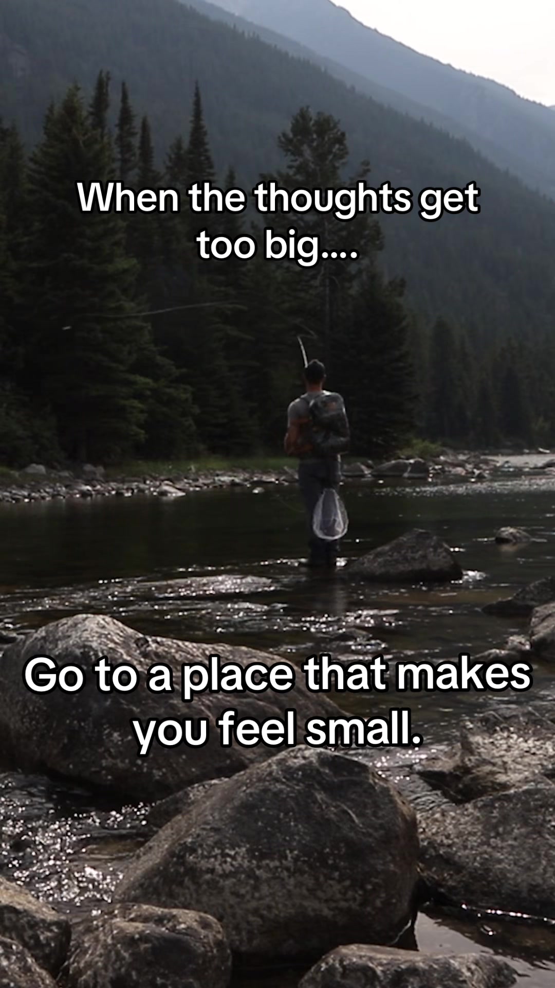 @Growing Wild