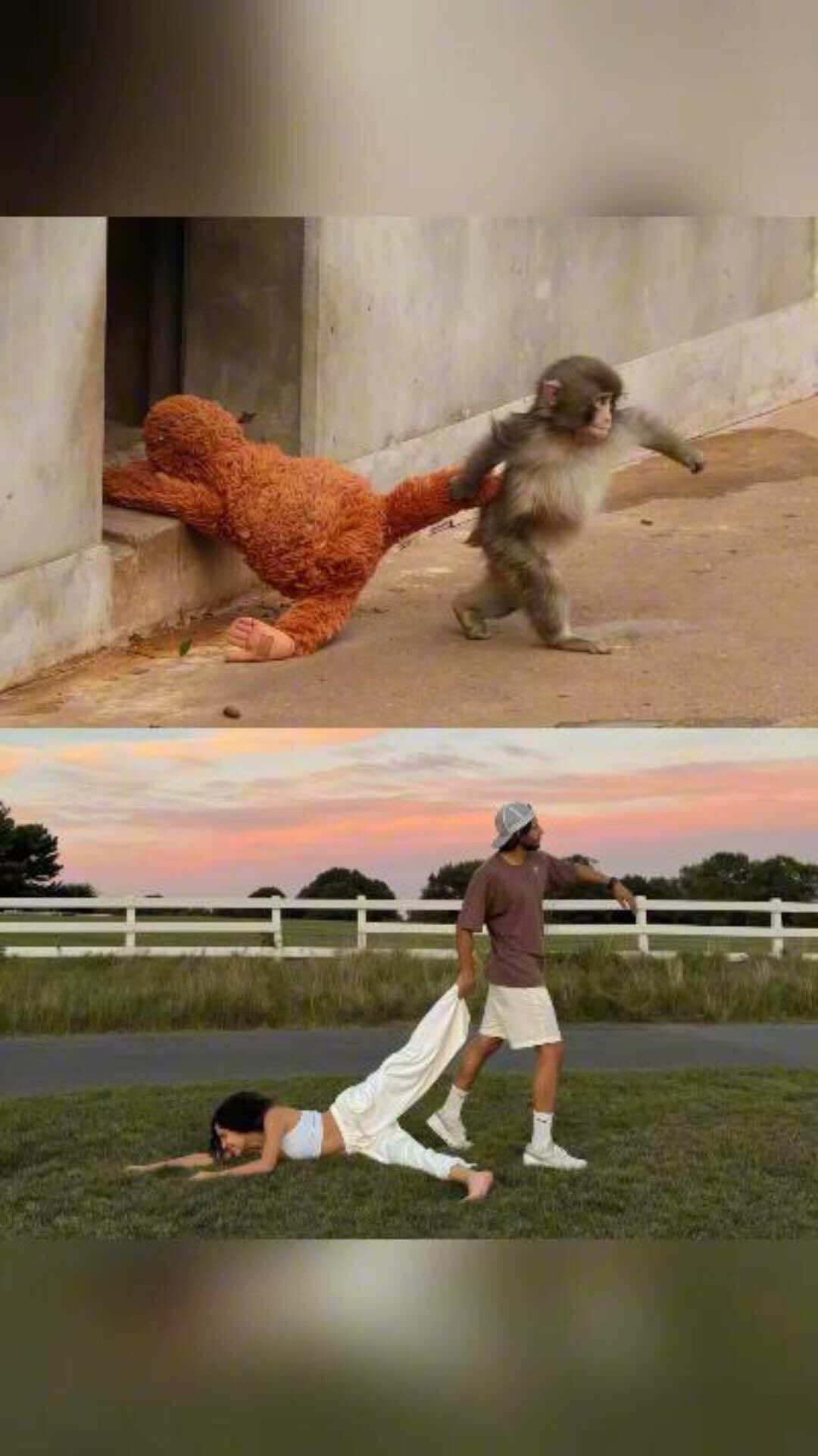 @LiloSunshine