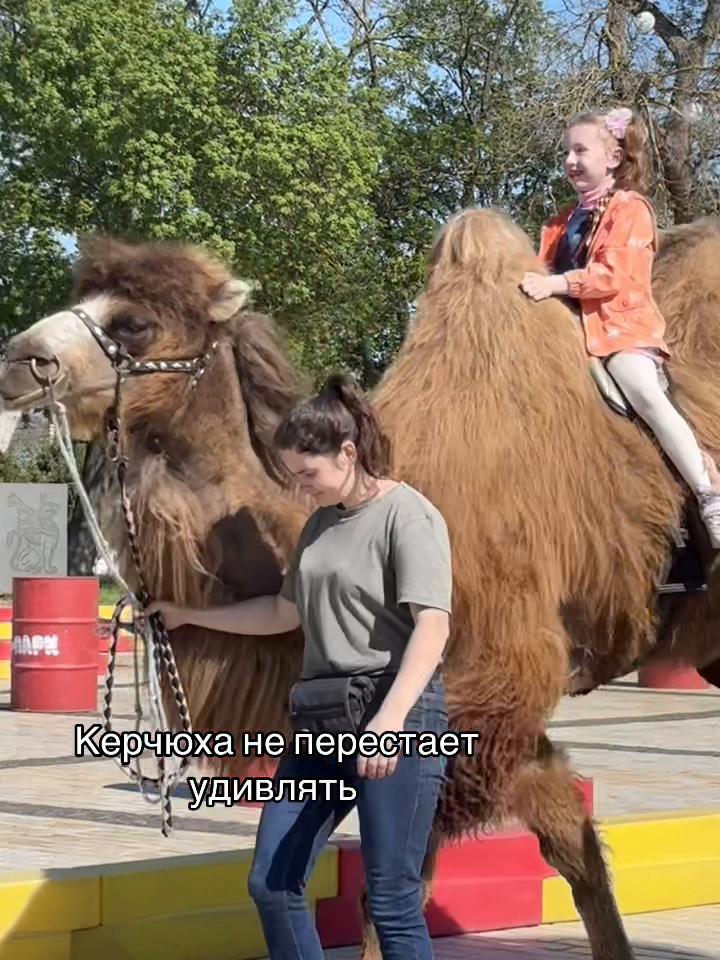 @Смурфа 🫦