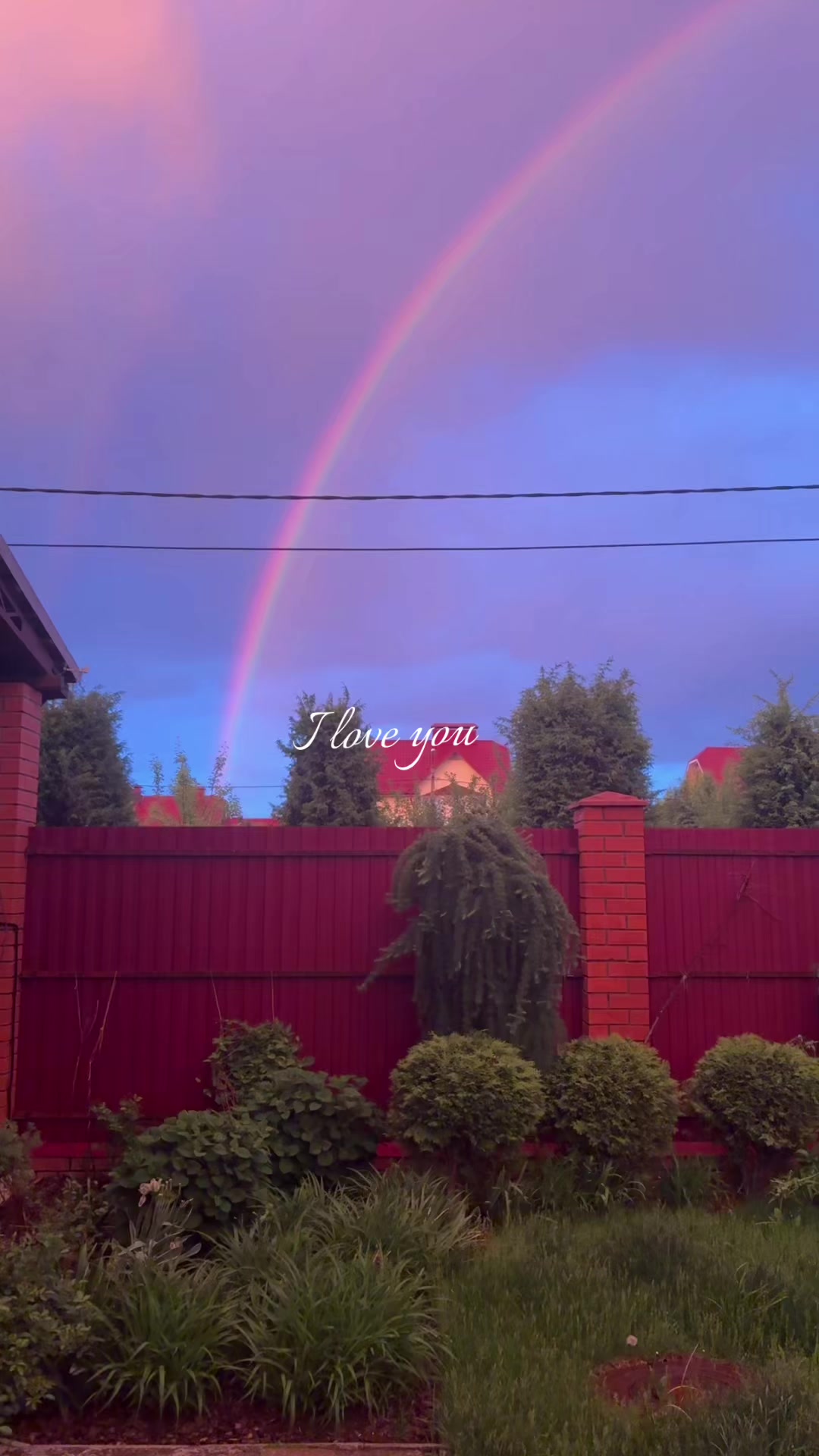 @lizzi✮