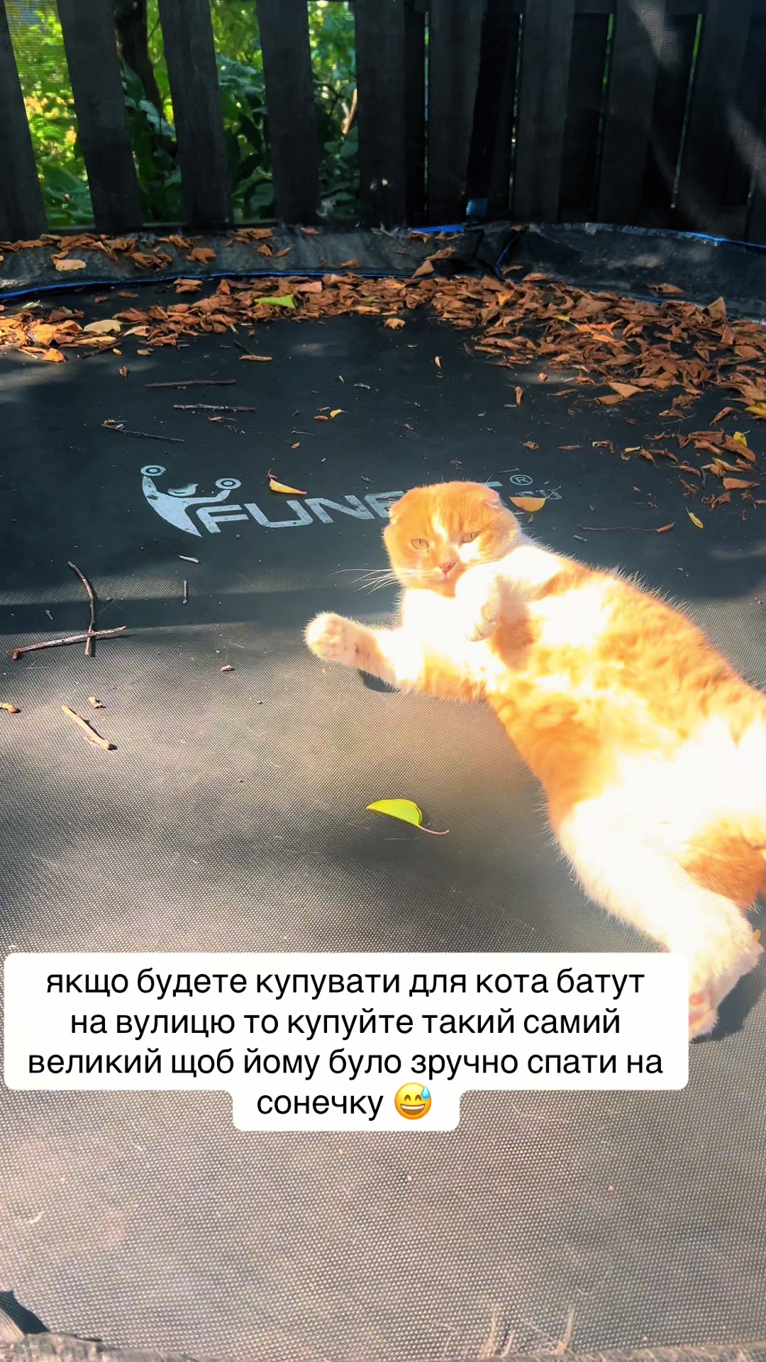 @Олена Номеровська