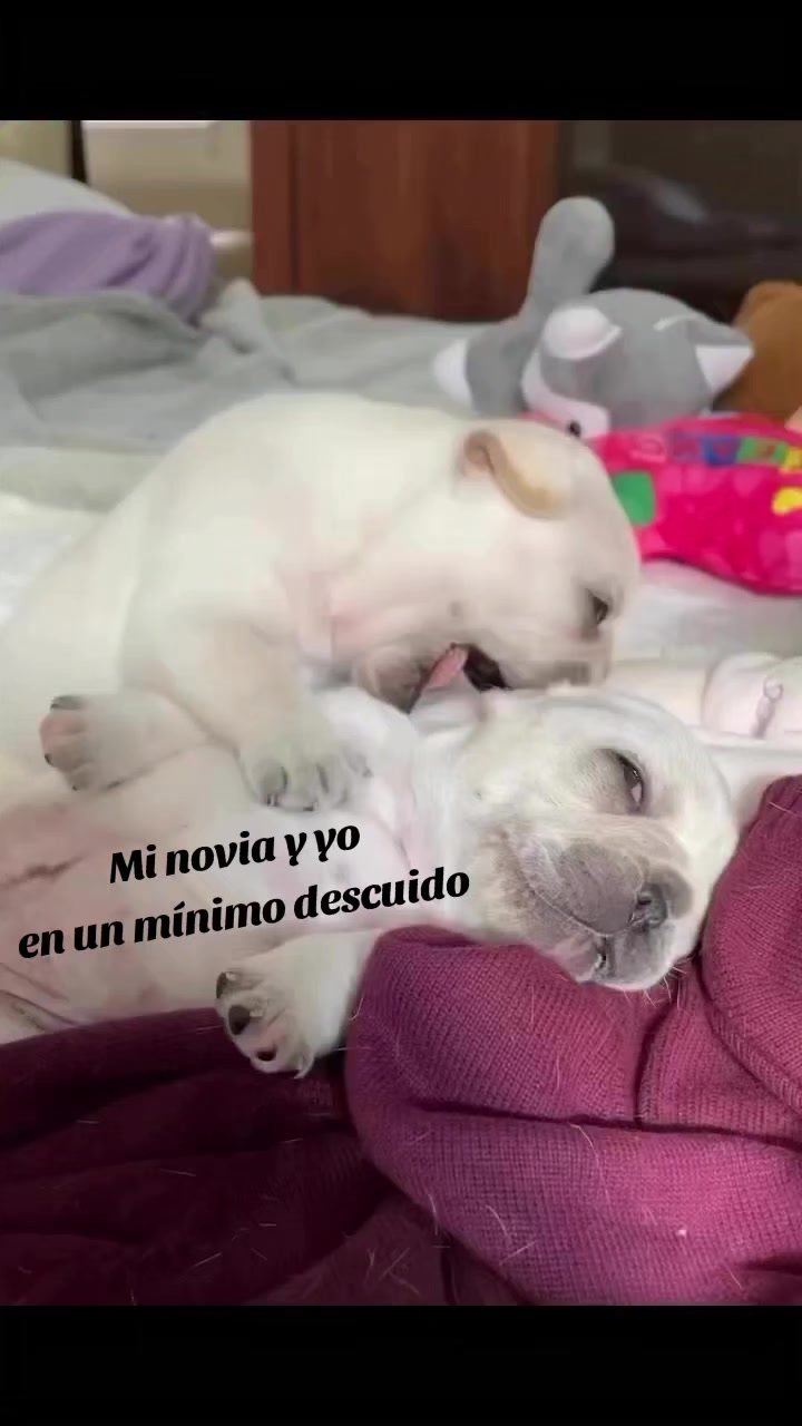 @ASTAIZZZA