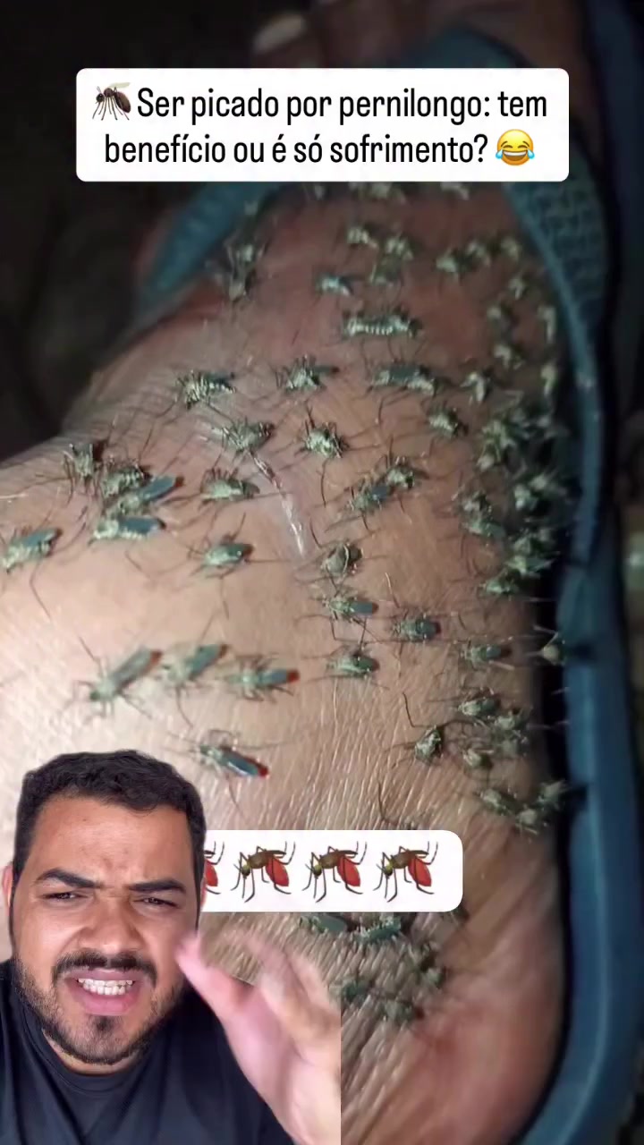 @Obrasilense