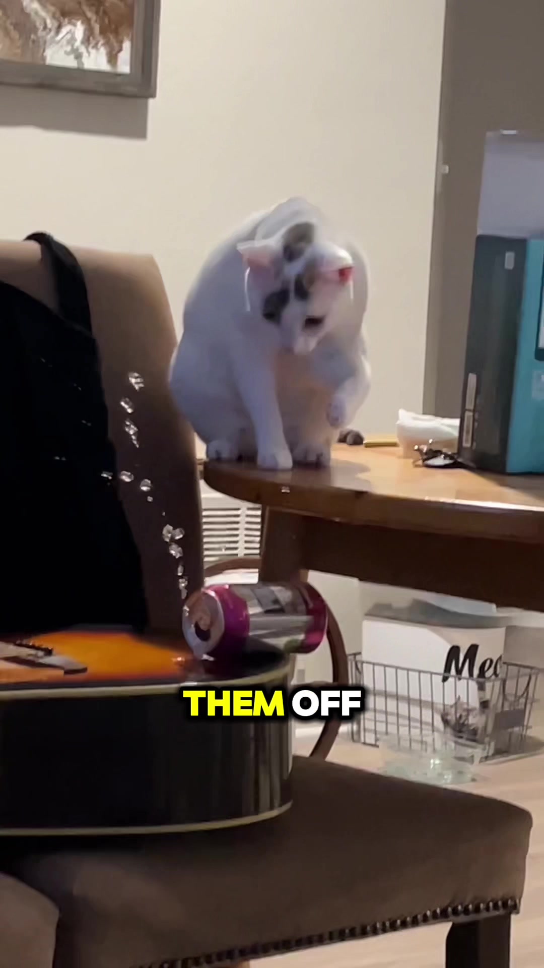 @If Your Pet Talked