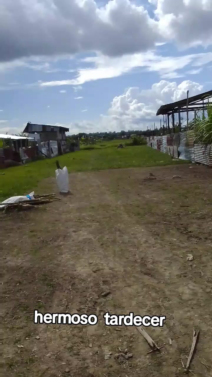 @Vegoña