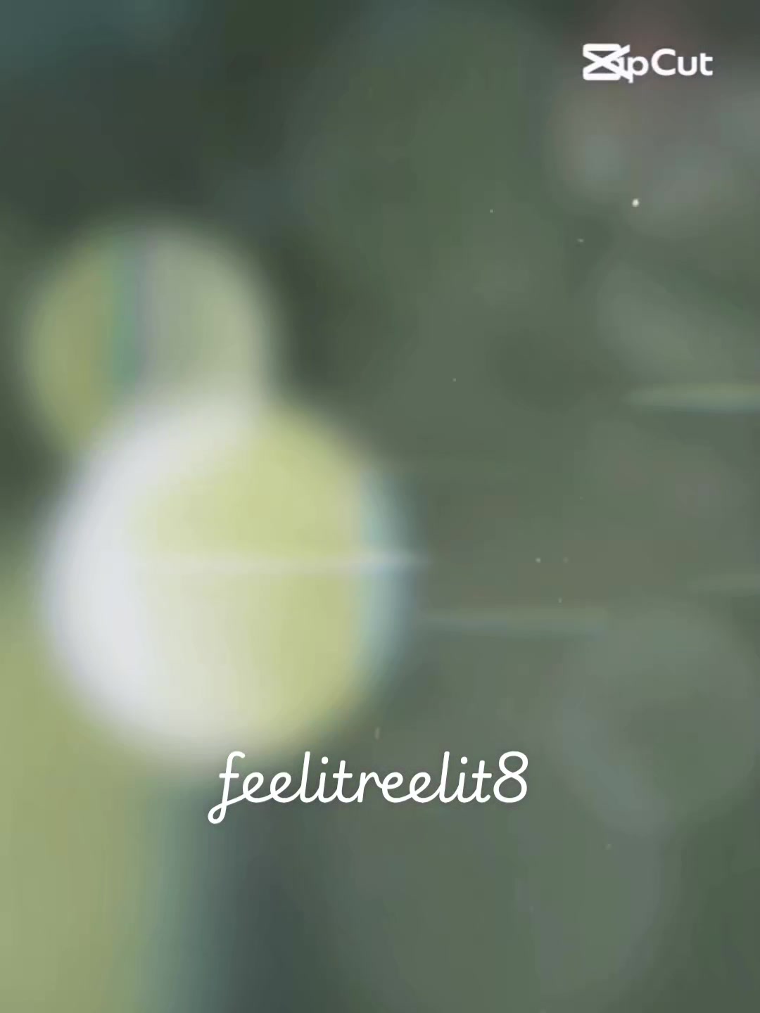 @feelitreelit