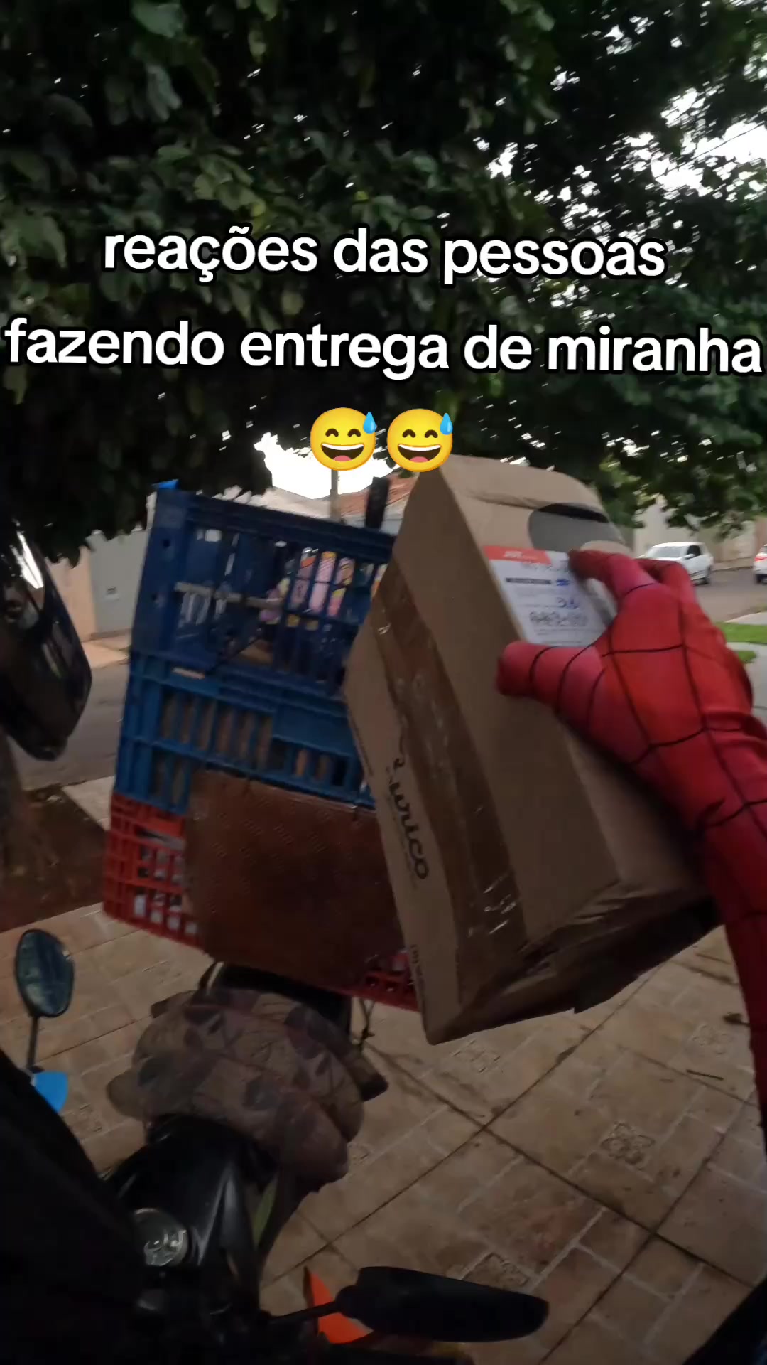 @Spiderlivery
