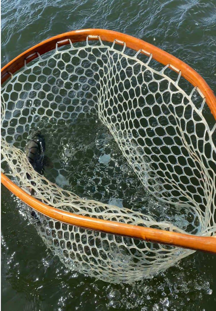 @Fishing with Rod