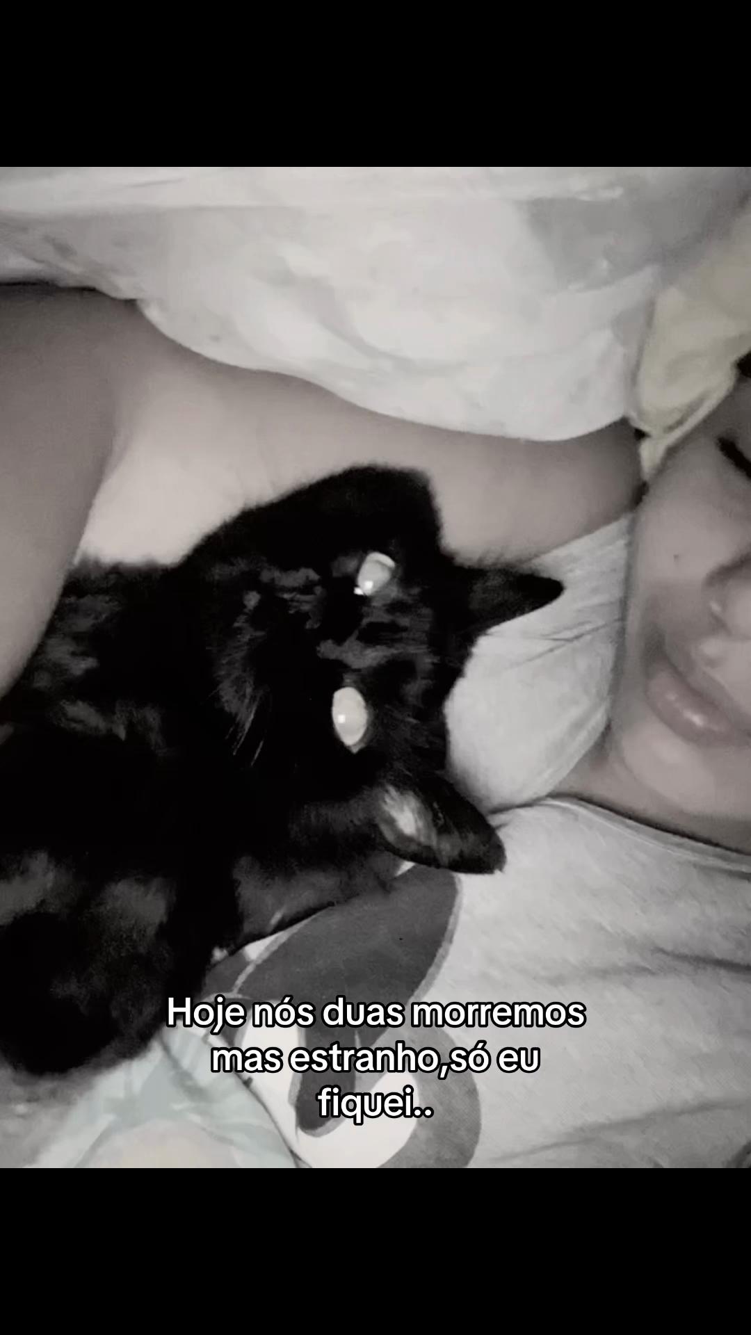 @Camargo 🇧🇷