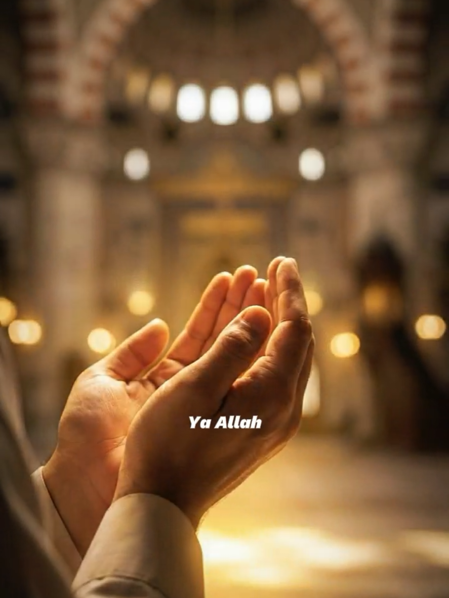 @muezzaa