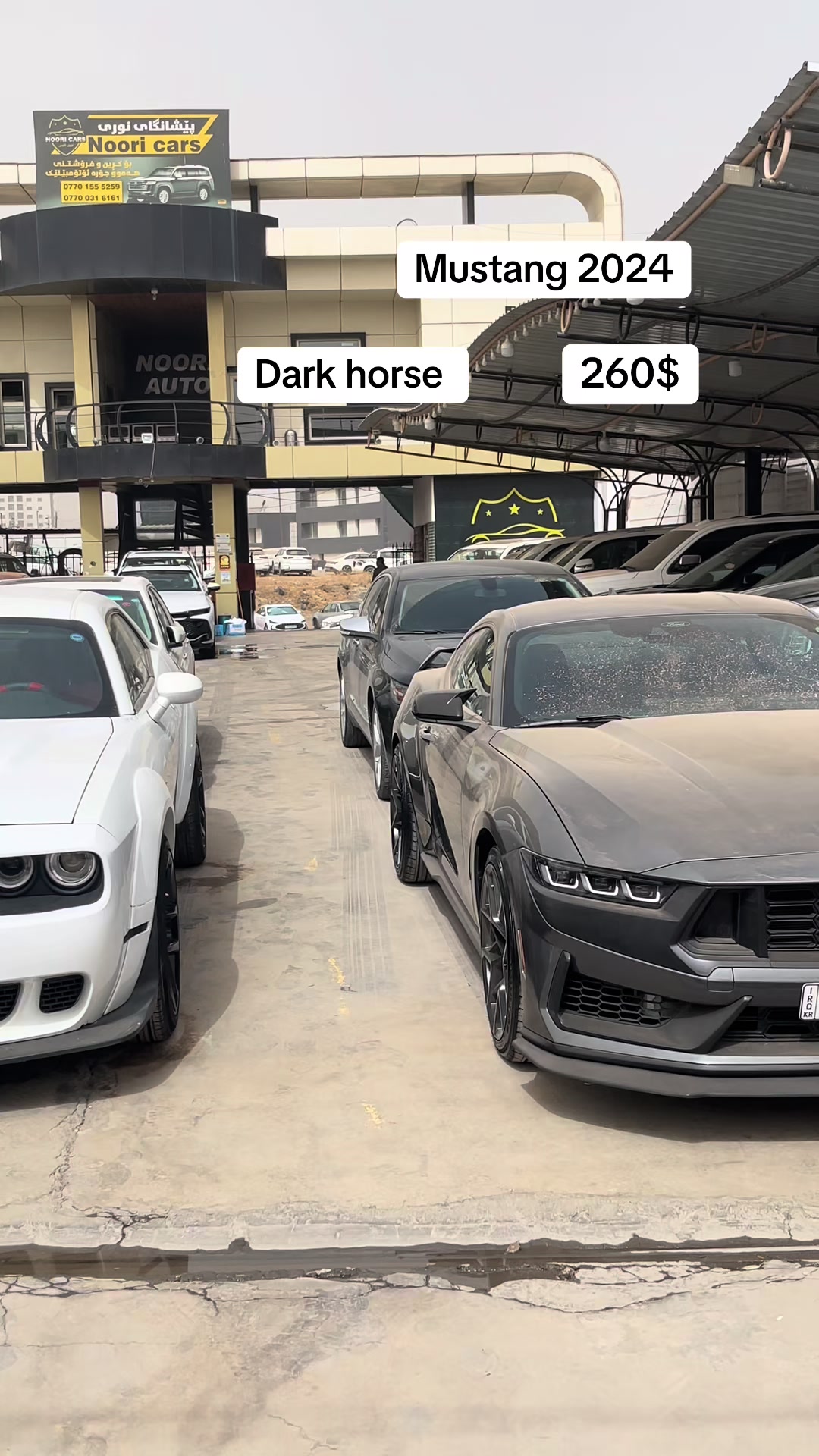 @NoOri CARS