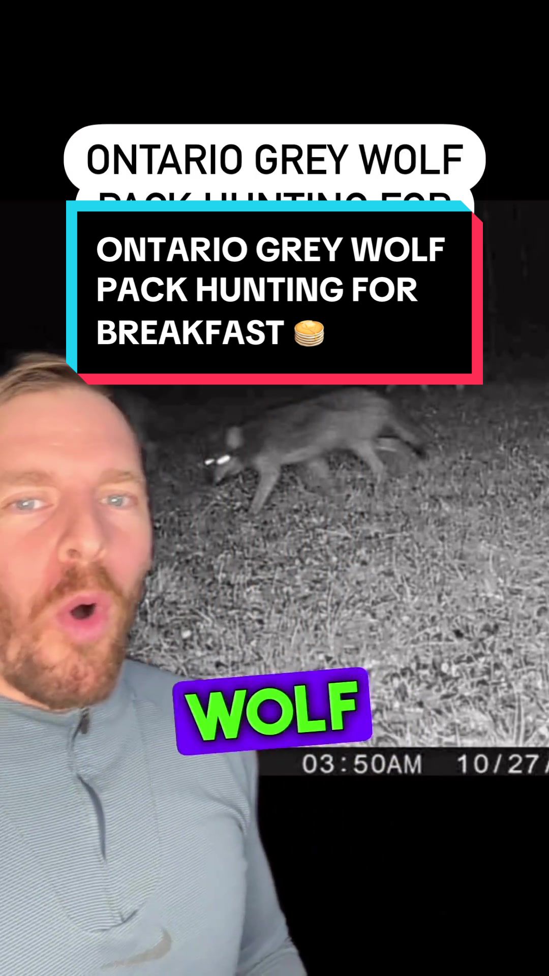 @Wild Ontario News