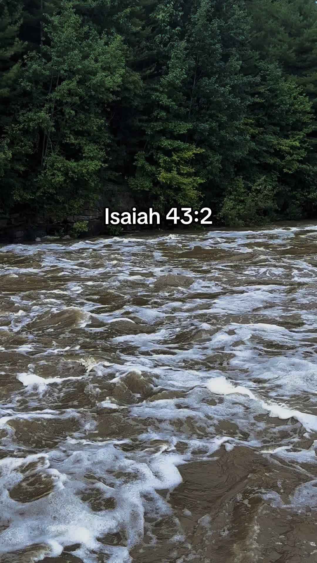 @J E S S E ✝️S A V A G E