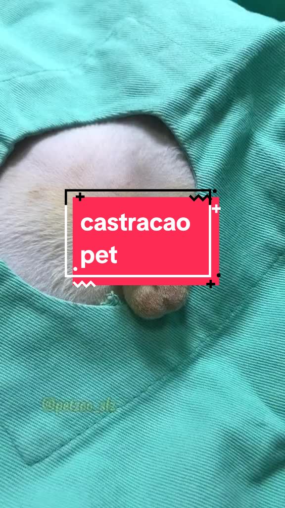 @Francinny Veterinária®️