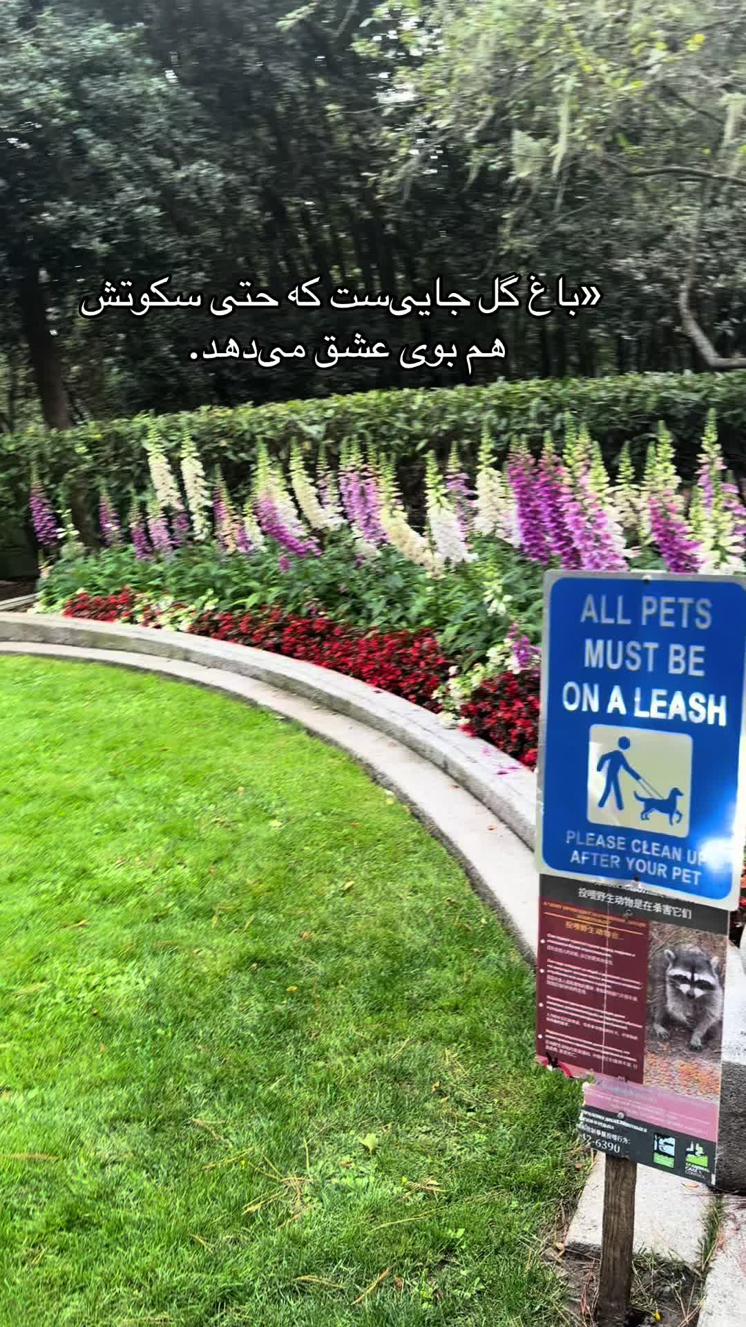 @shakiba Noori