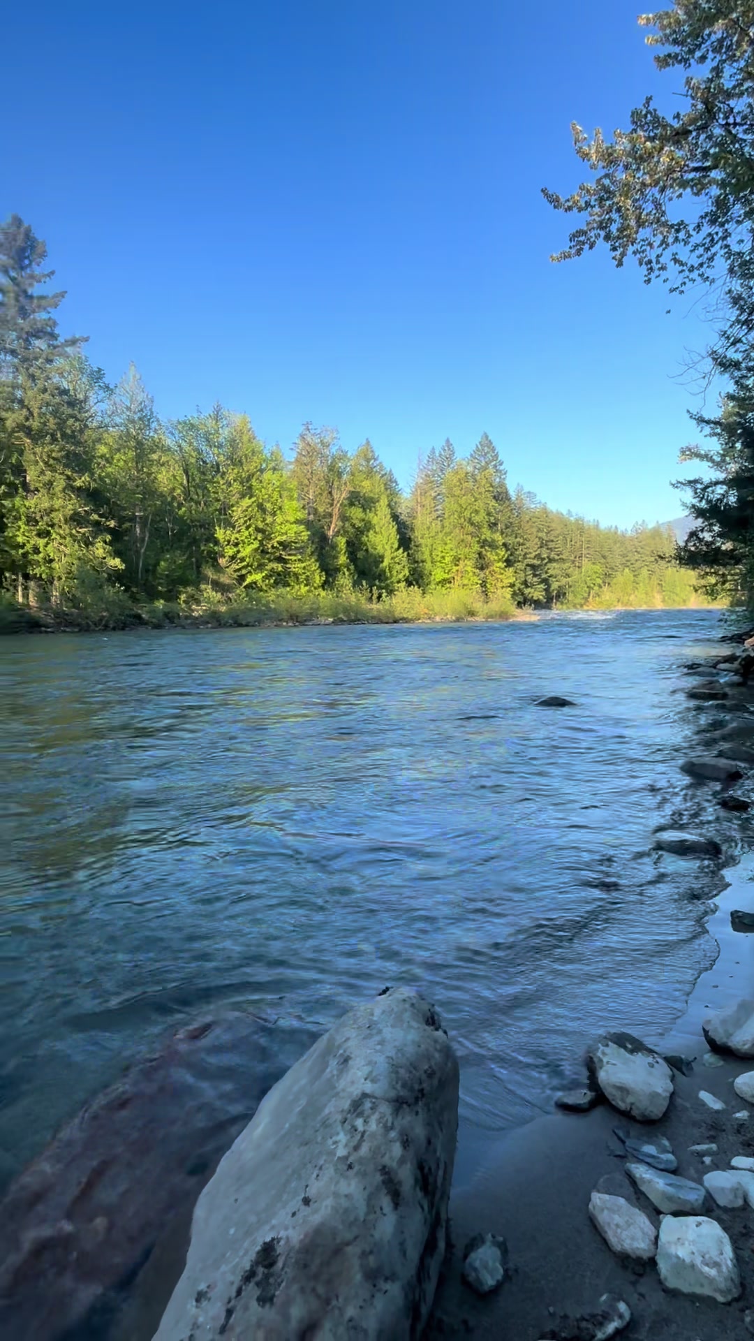 @LifeinthePNW