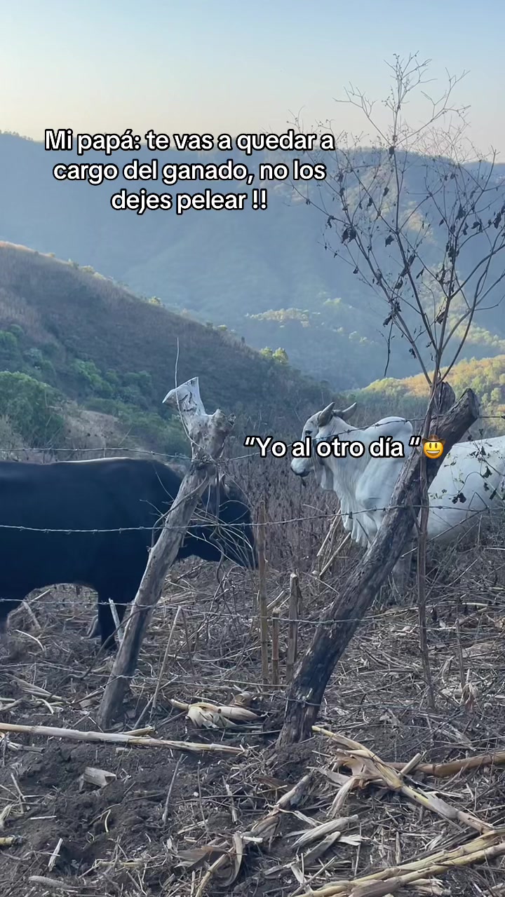 @Zuri__060 🥷