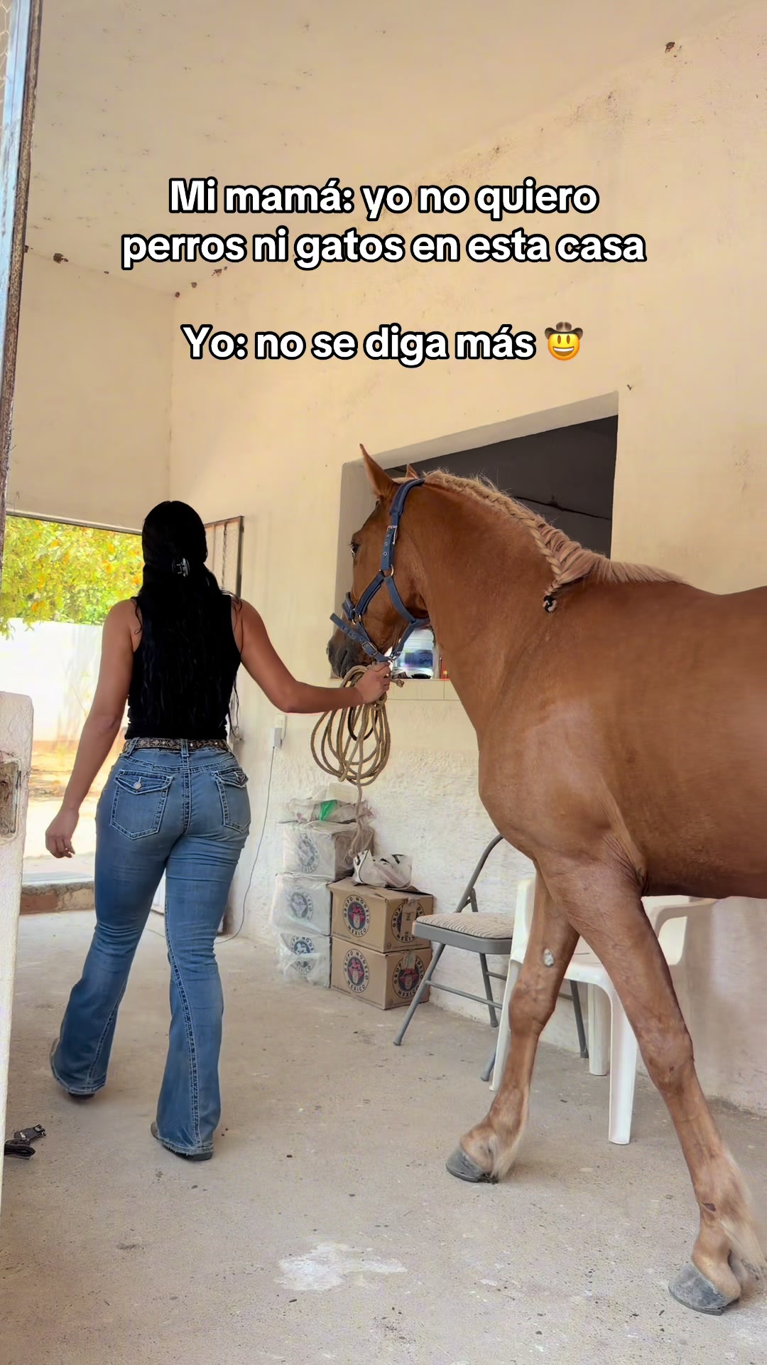 @alejandra.kandy