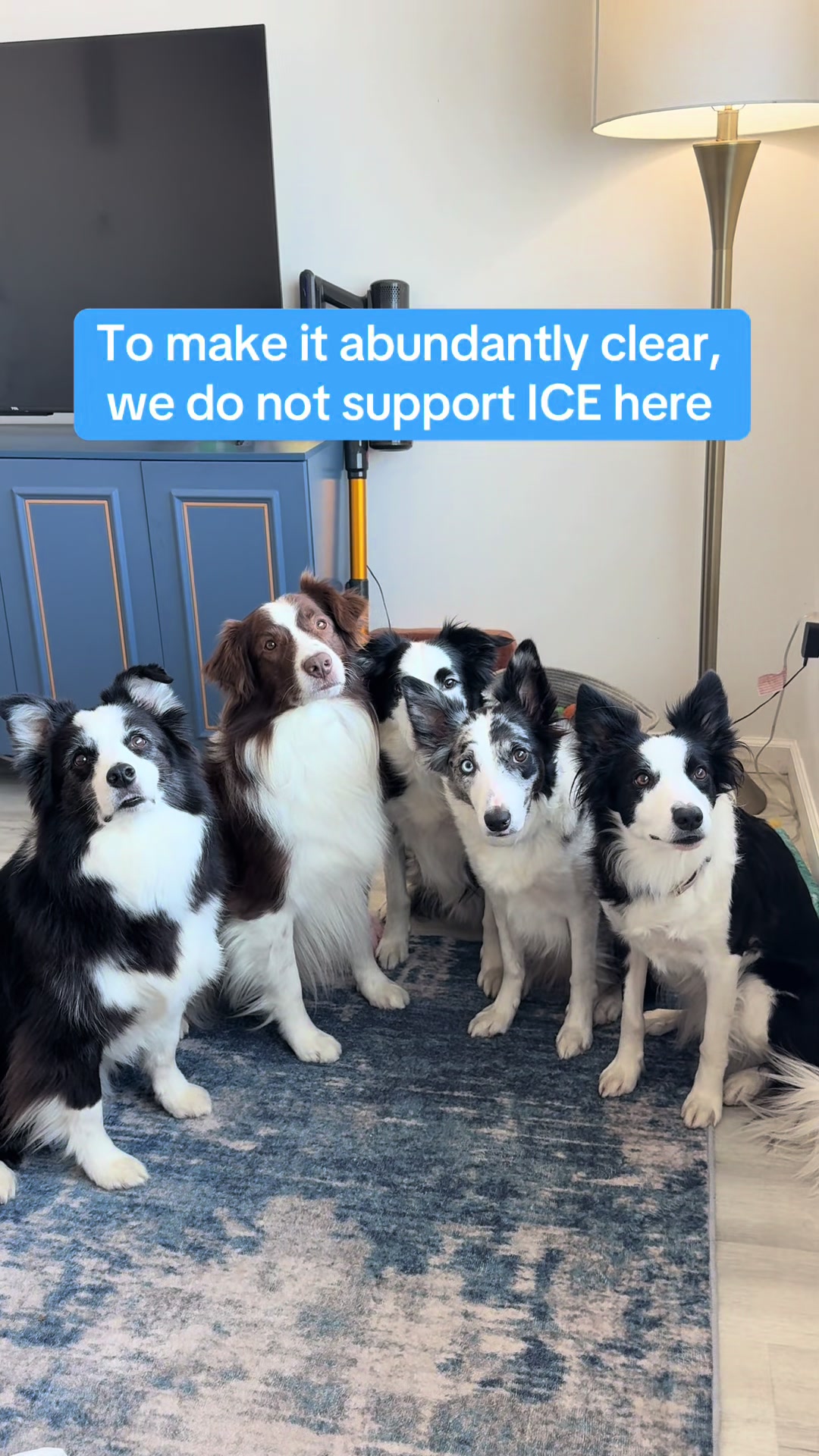 @Exploring K9 Training