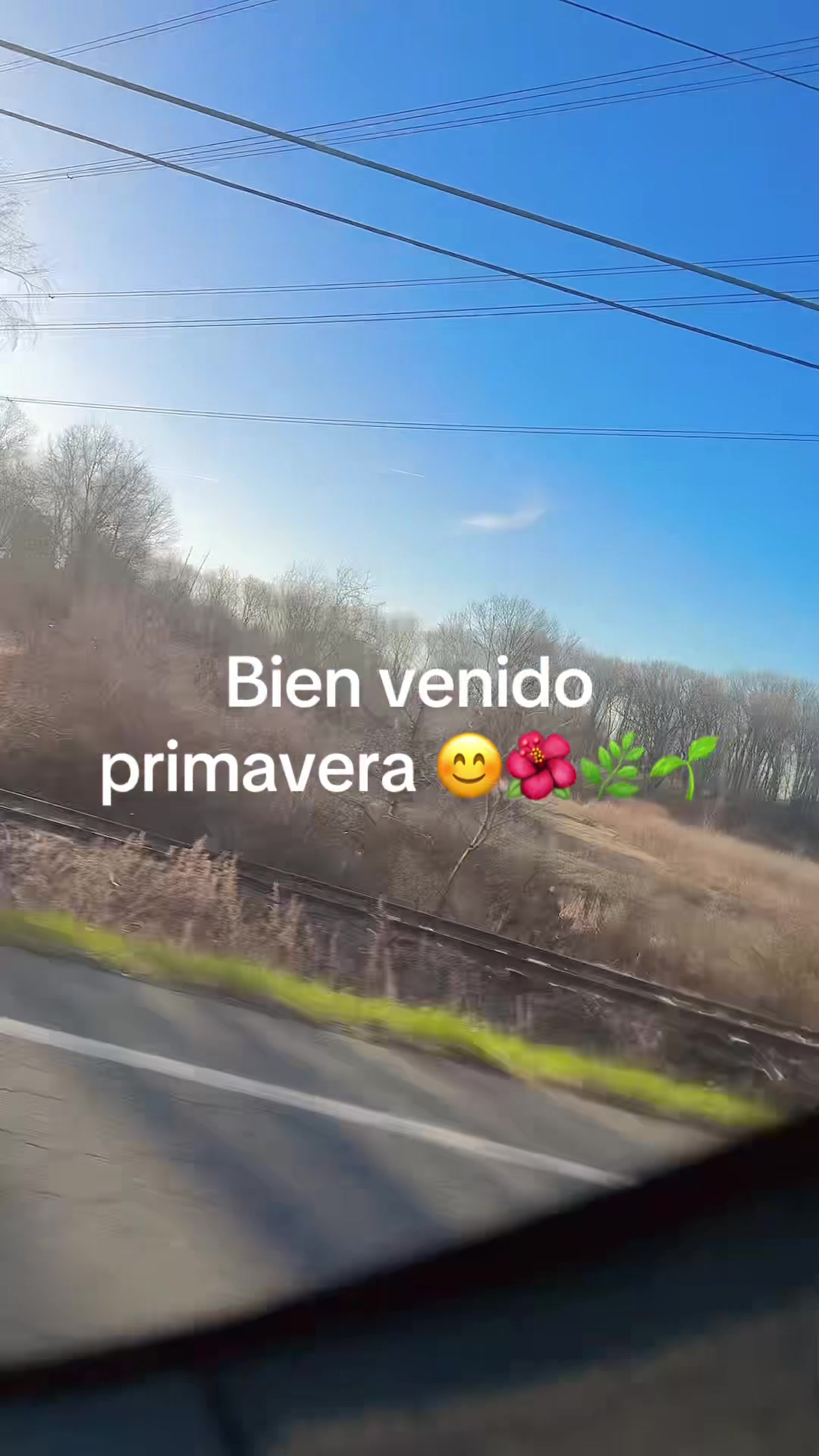 @Rous 🍀