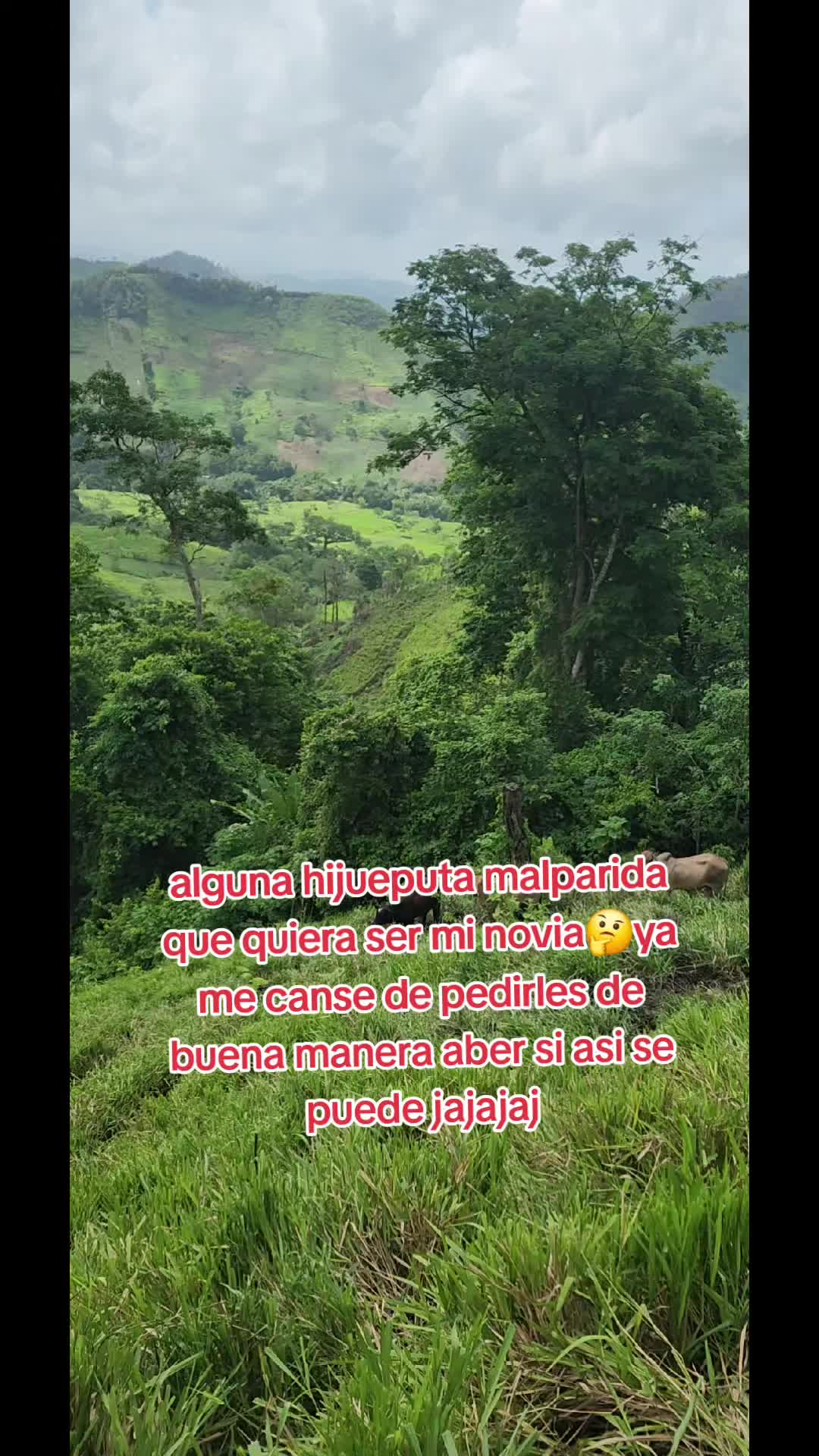 @💙💙chacadeNicaragua 💙💙?