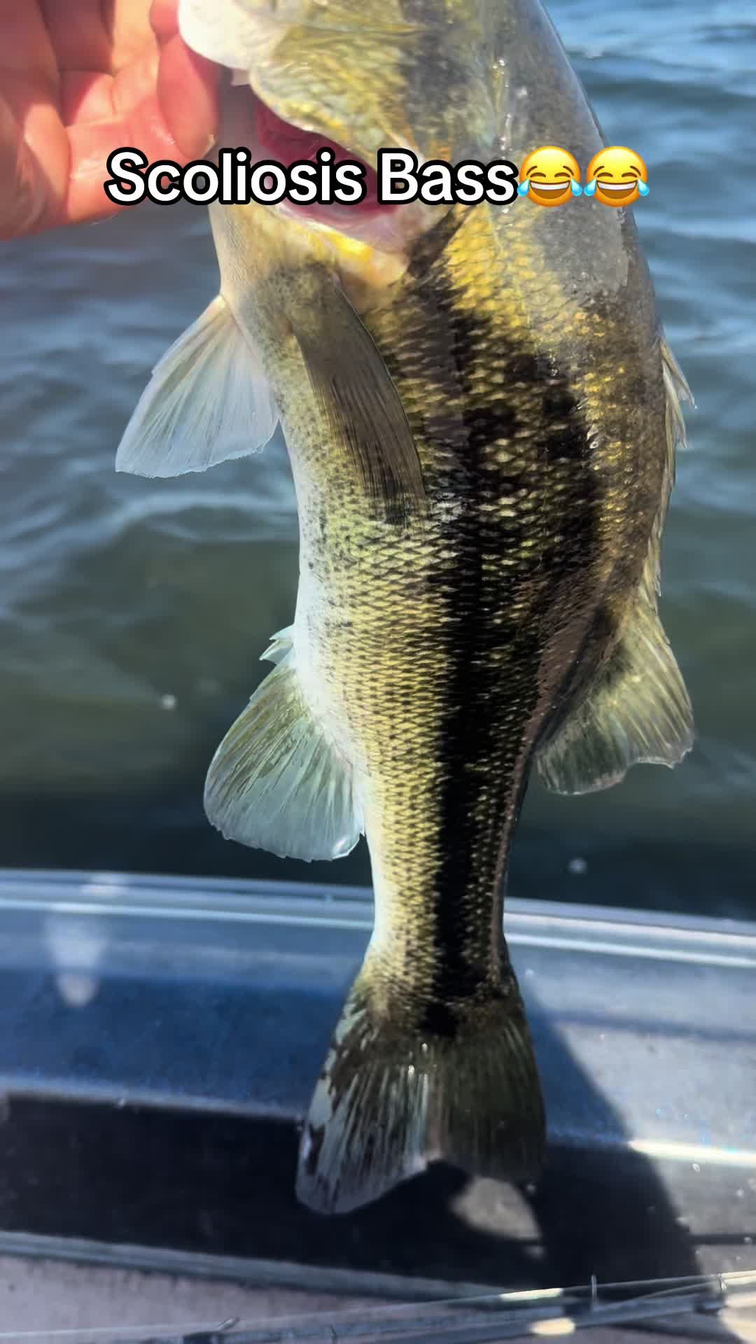 @evan_whitefishing