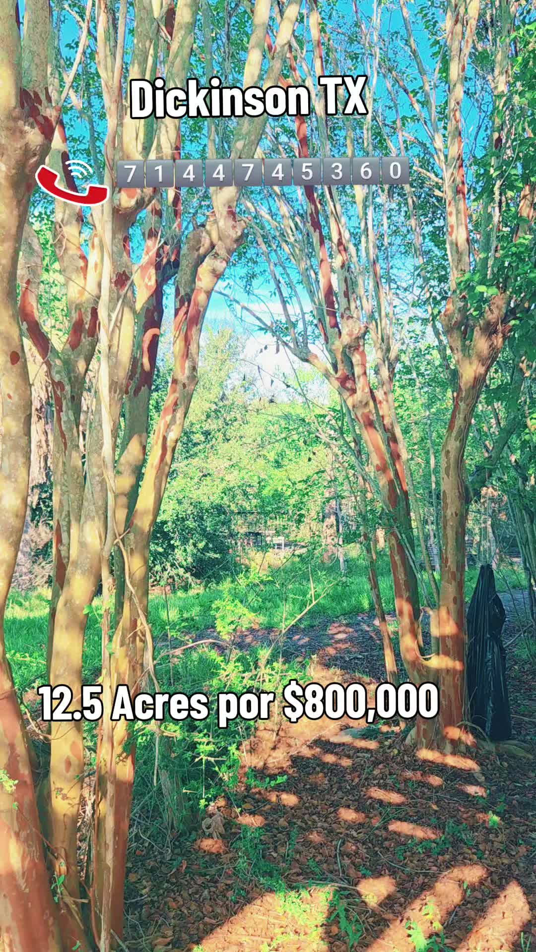 @Frank Property Sales