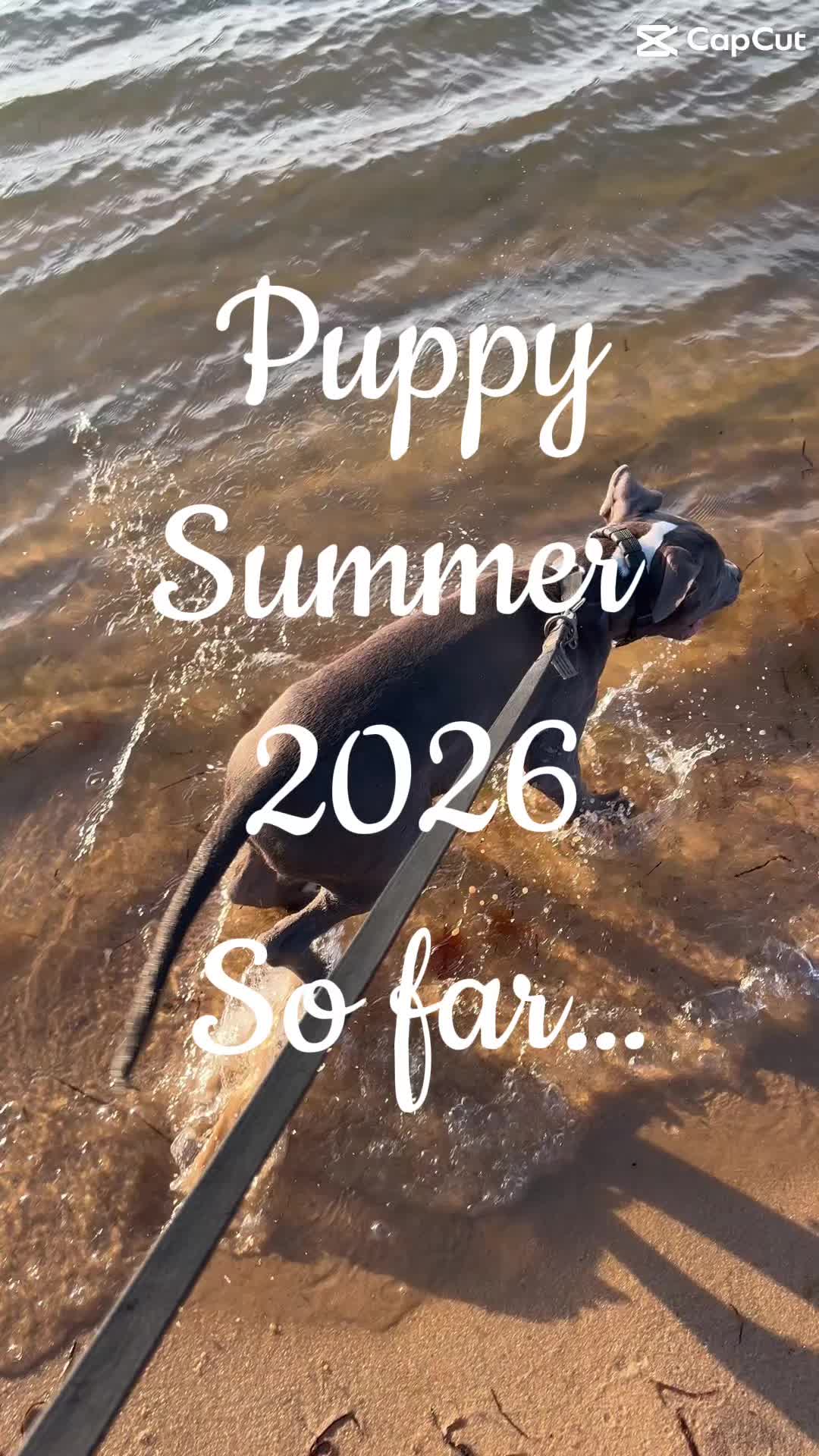 @Pibblingaround