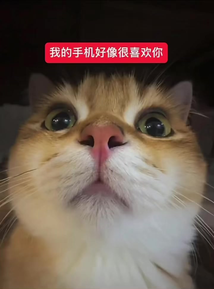 @☆〜(ゝ。∂)