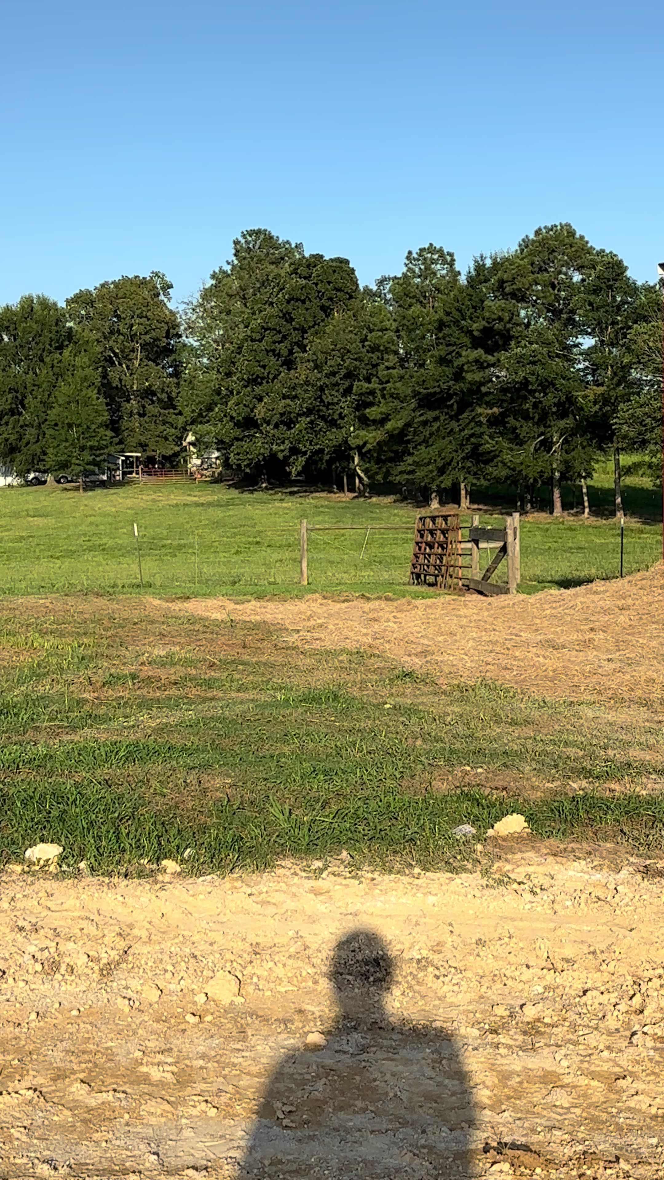 @Sunshine Acres Brangus