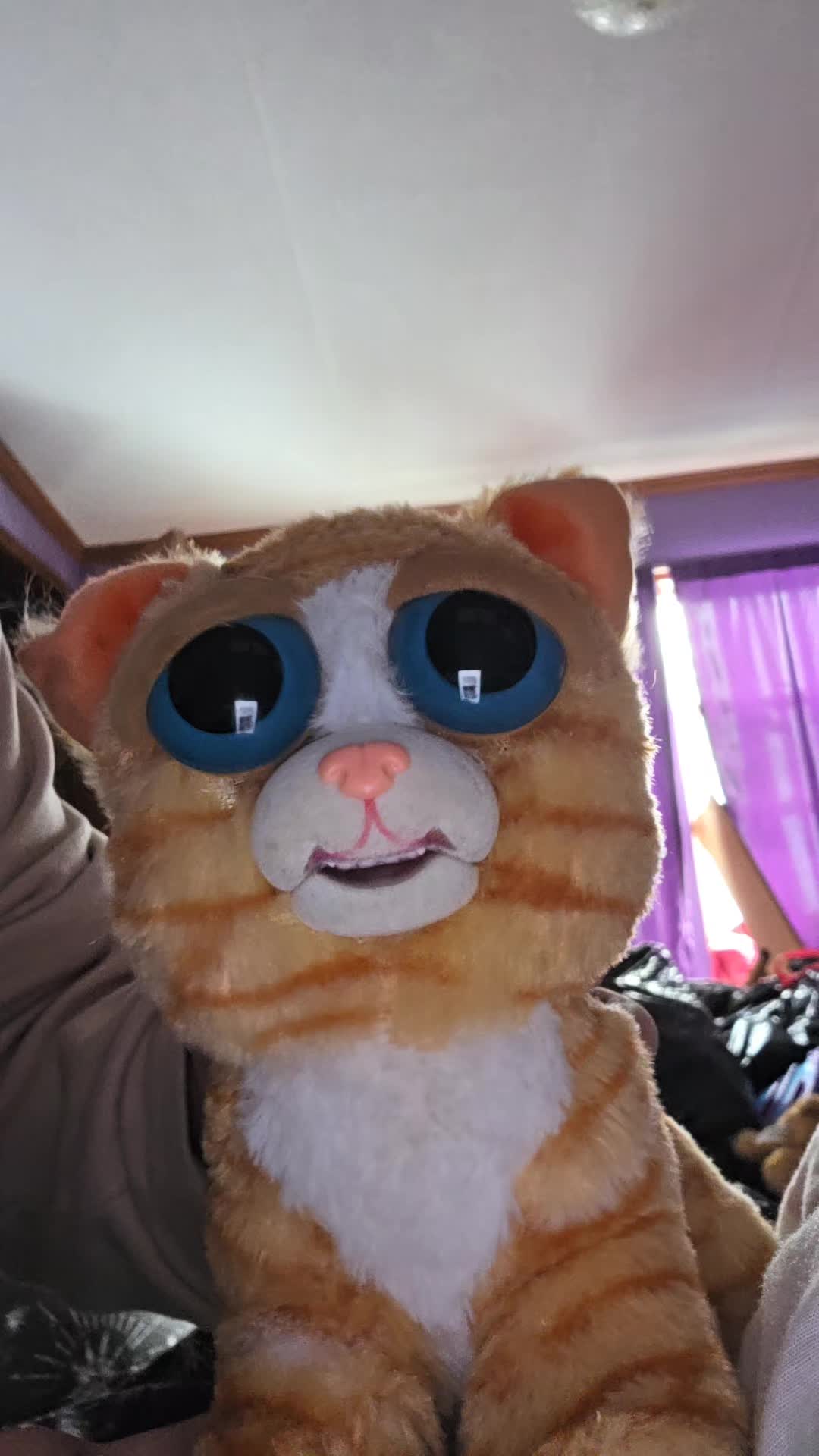 @โ๐ฃ๐๐๐๐๐ค๐คโโ