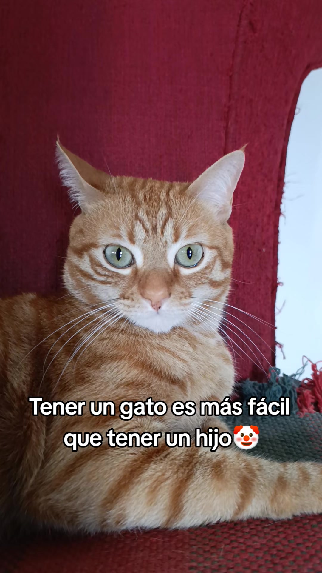 @Francis yahondy