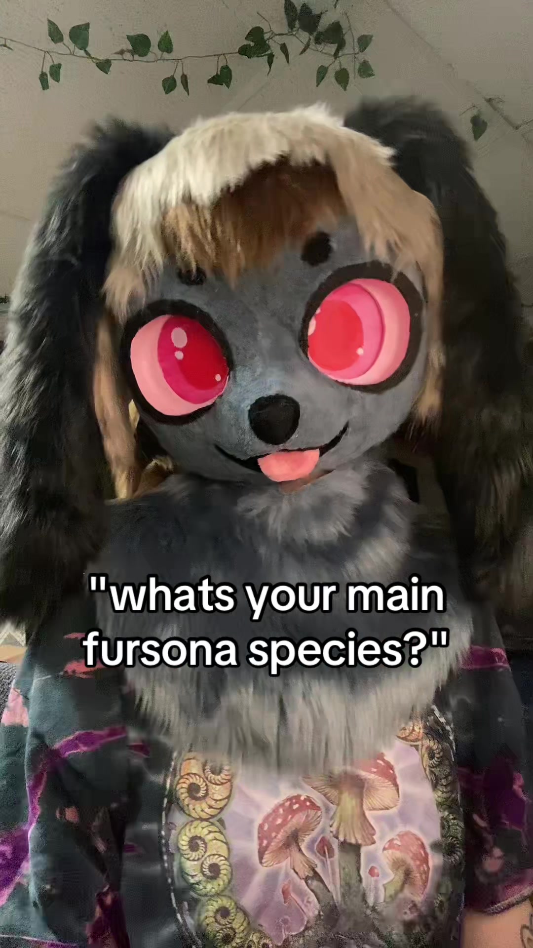 @RATCHET!! 🔜  MEGAPLEX